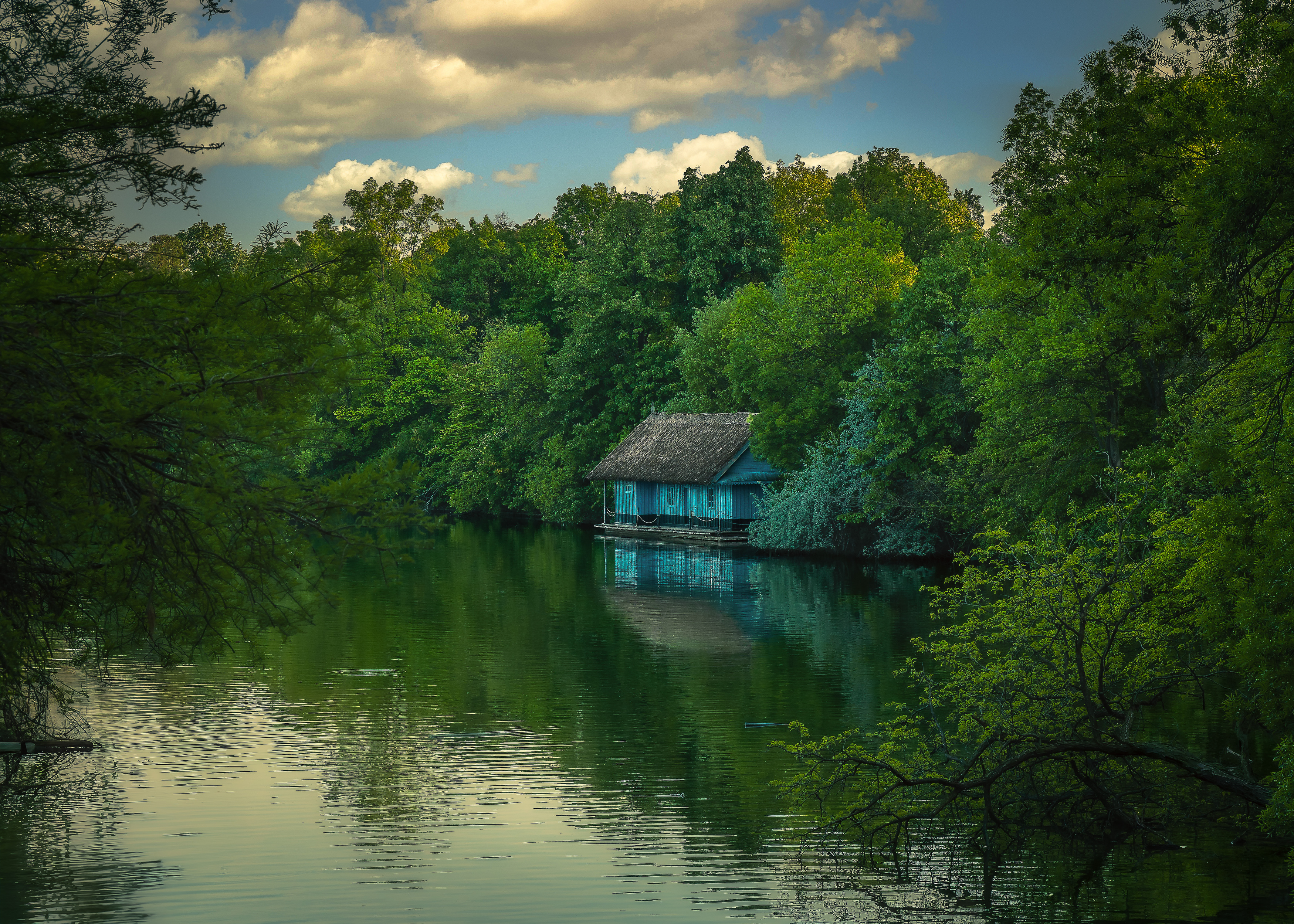 , Denis Cristian BURMELEAC