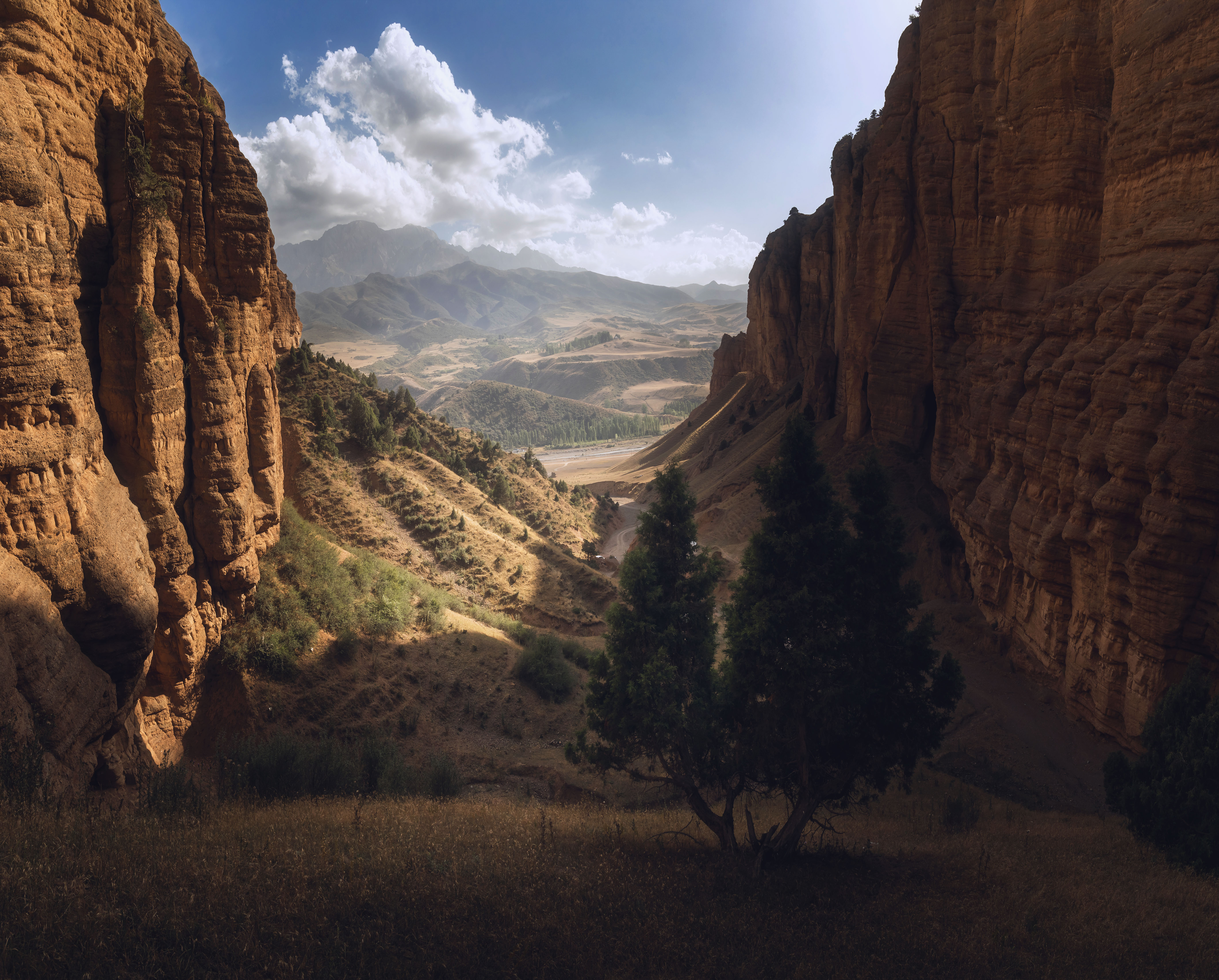 , Грамаков Юрий