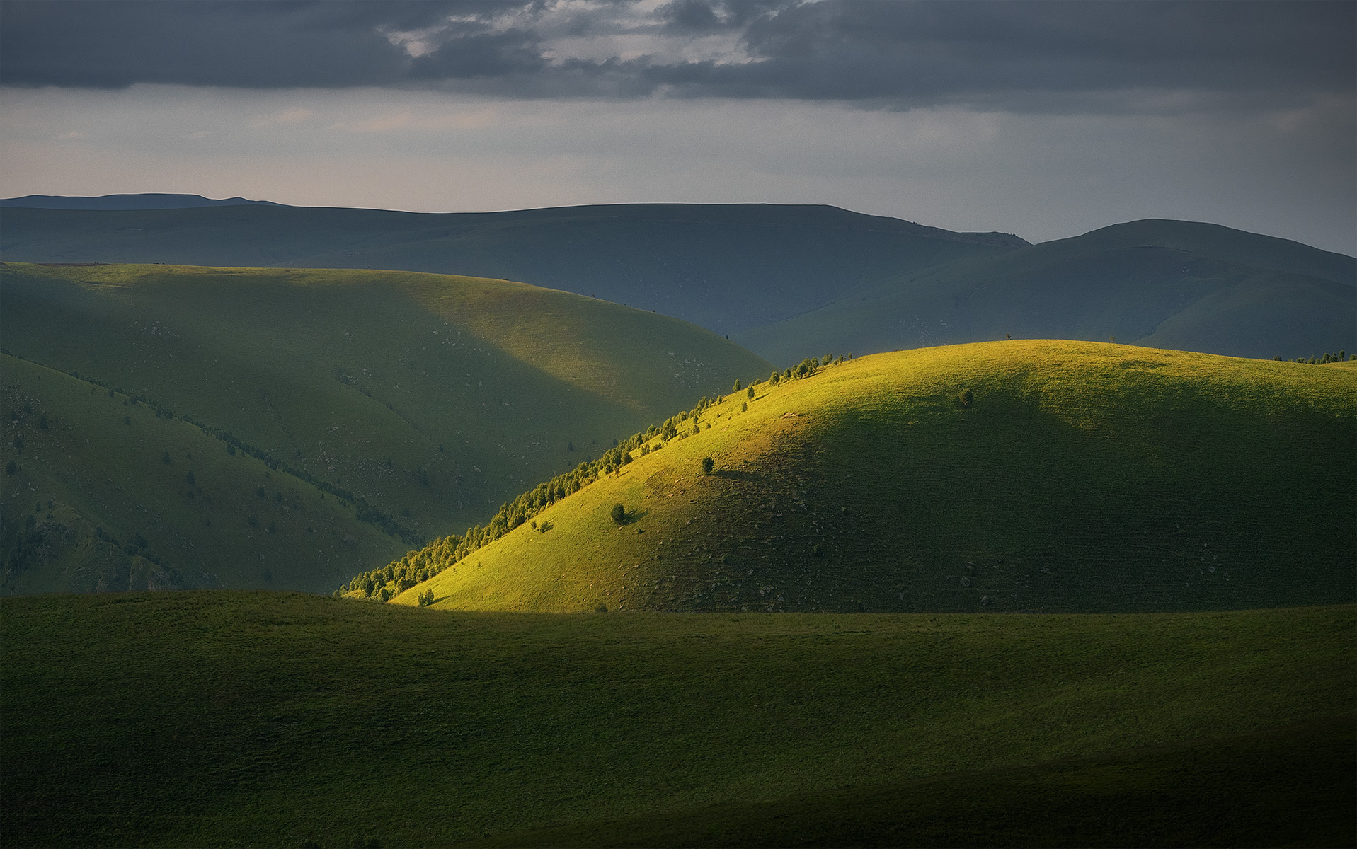 , Андрей Родионов