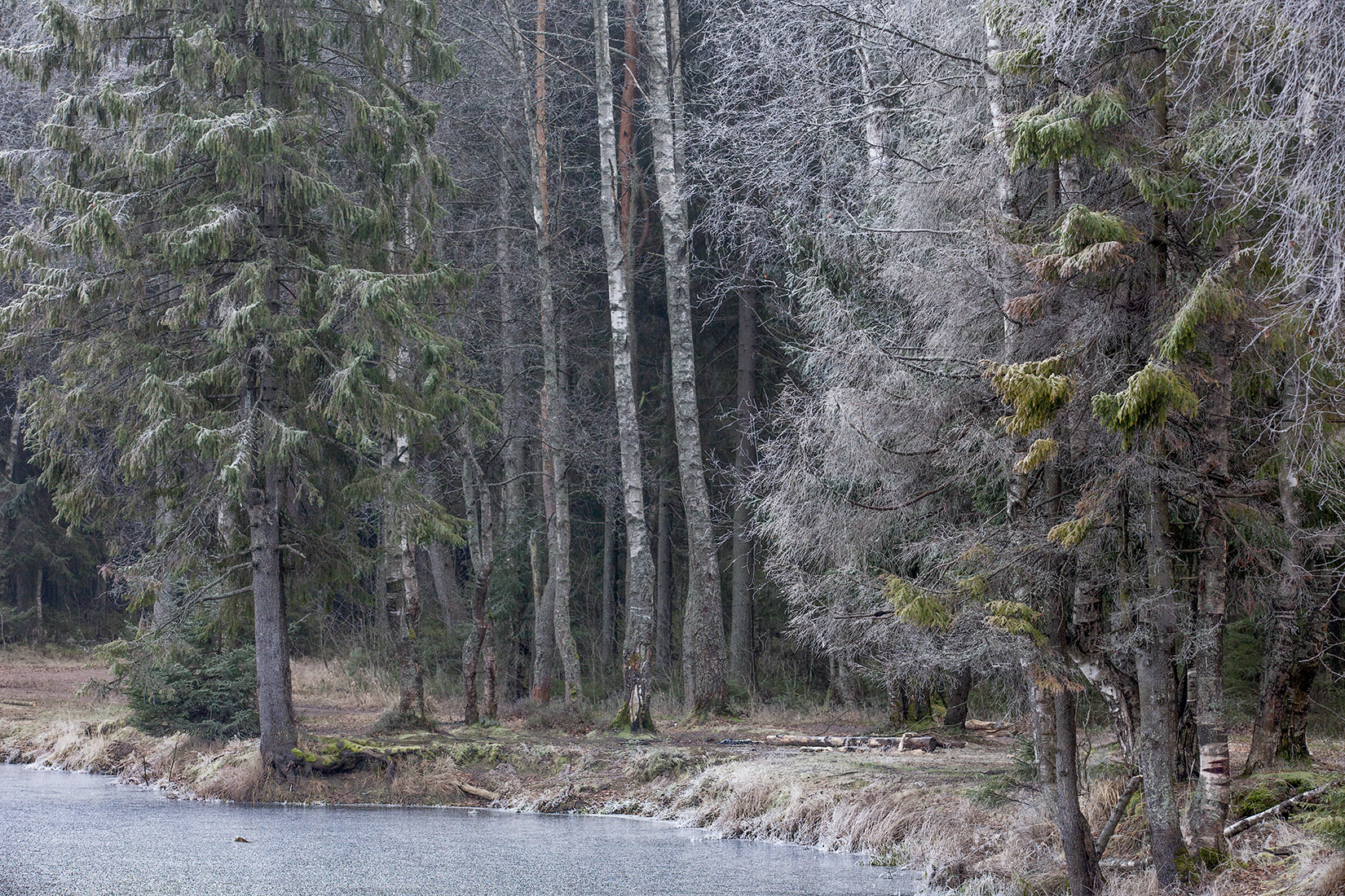 ,  александр михайлов