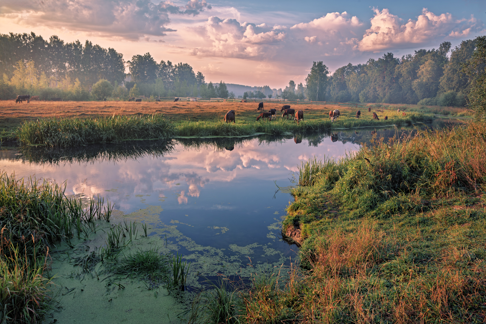 , Евгений Ерохин