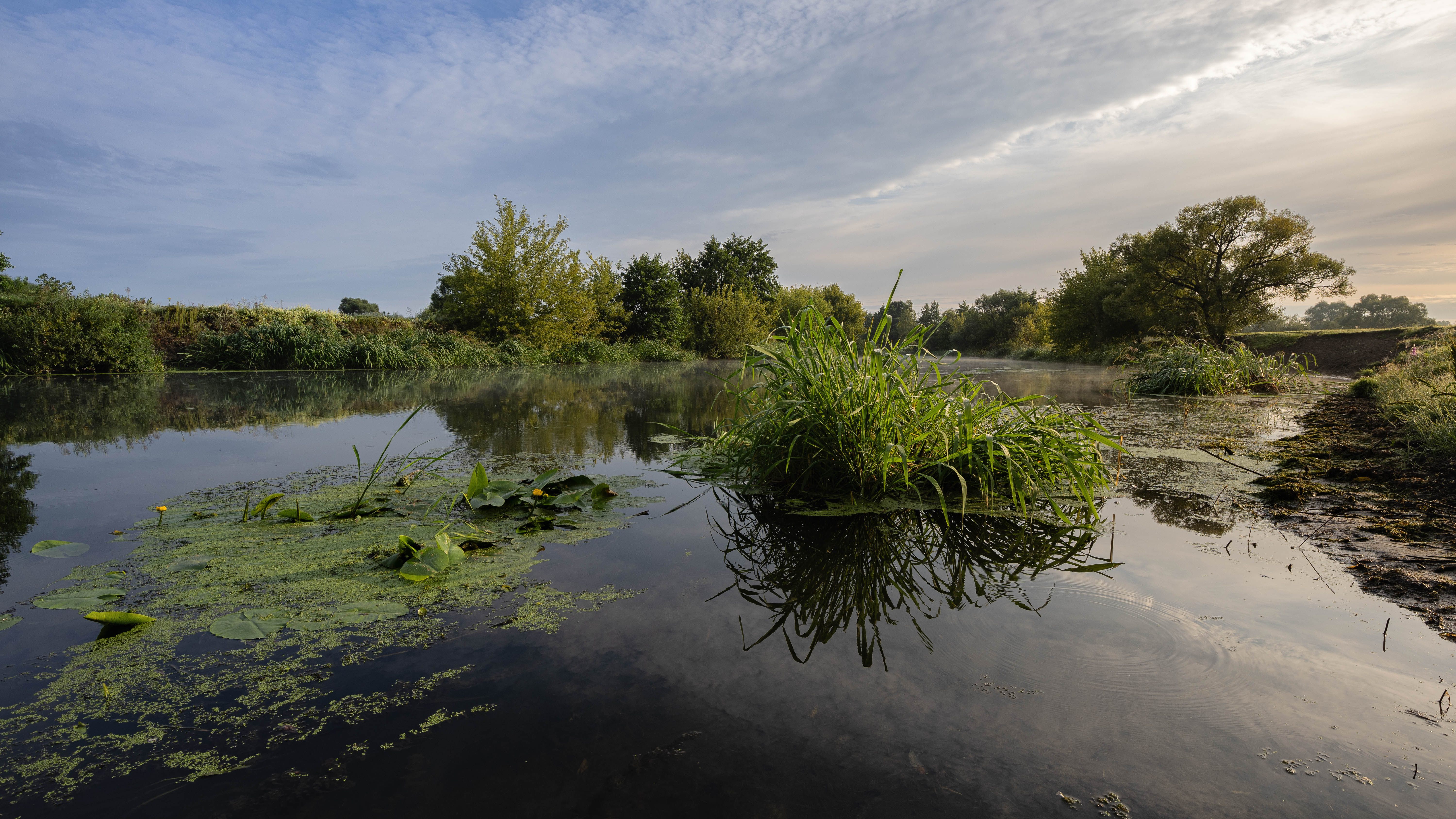 , Александр Бредихин