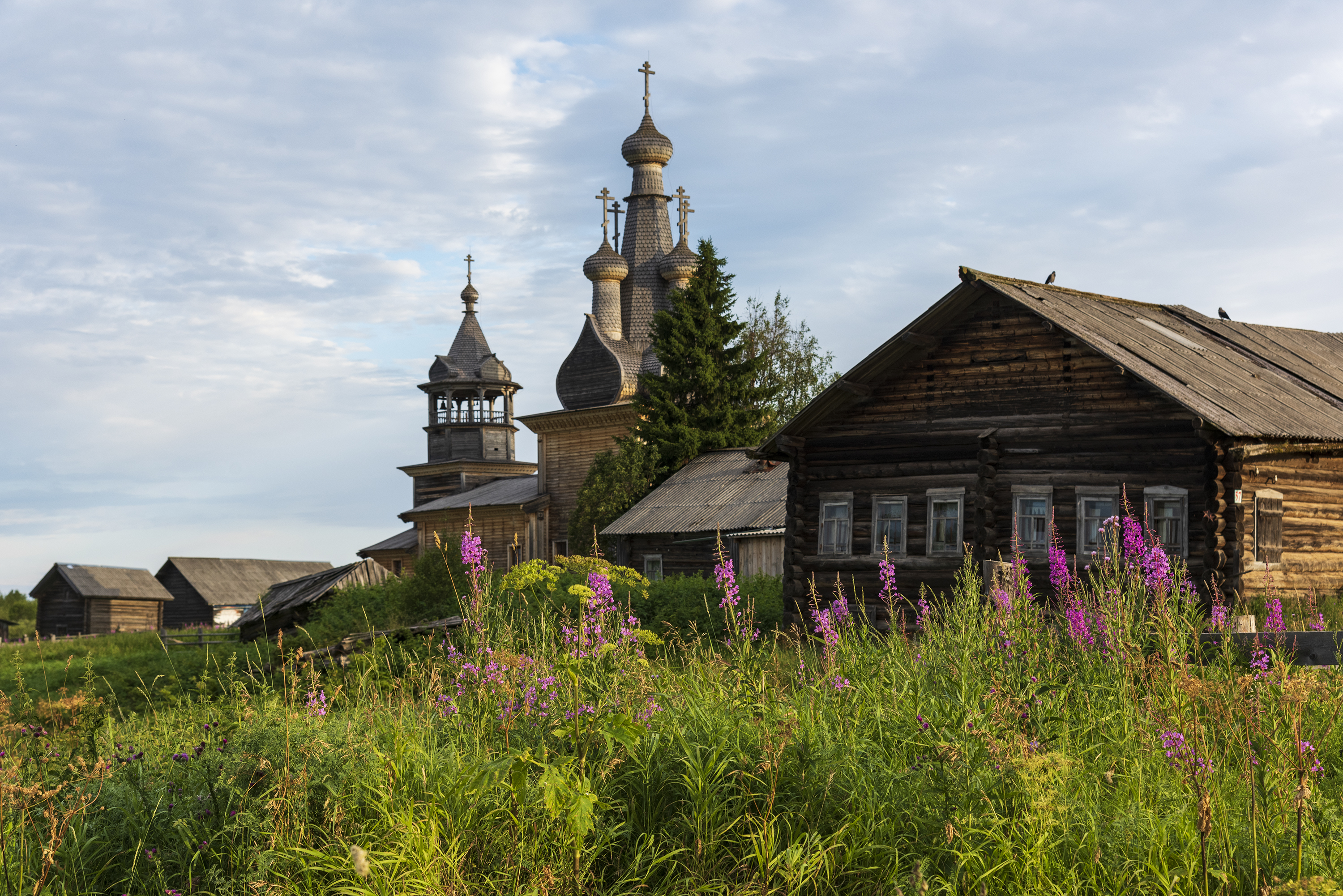 , Дмитрий Новоселов