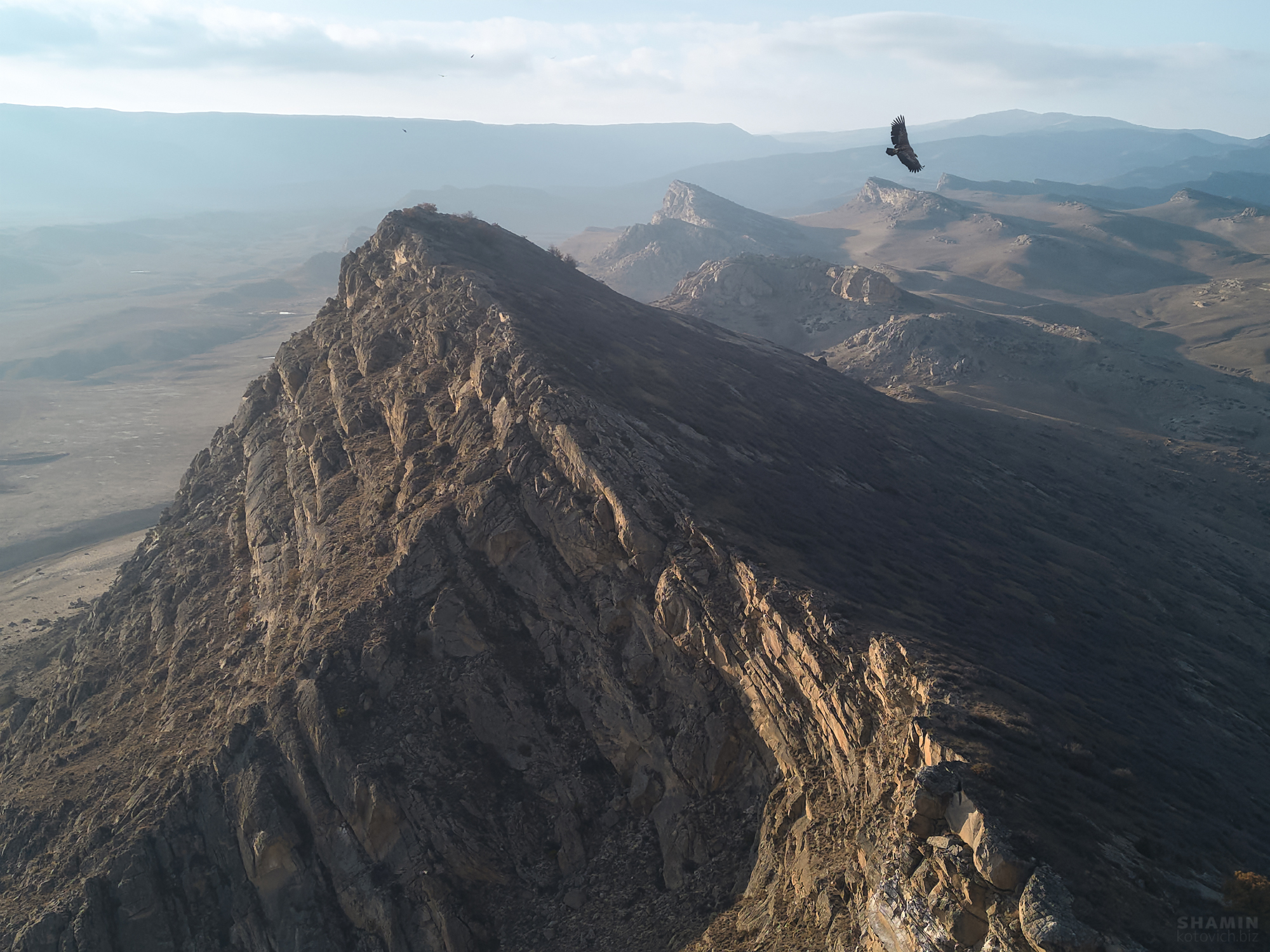 , Константин Шамин