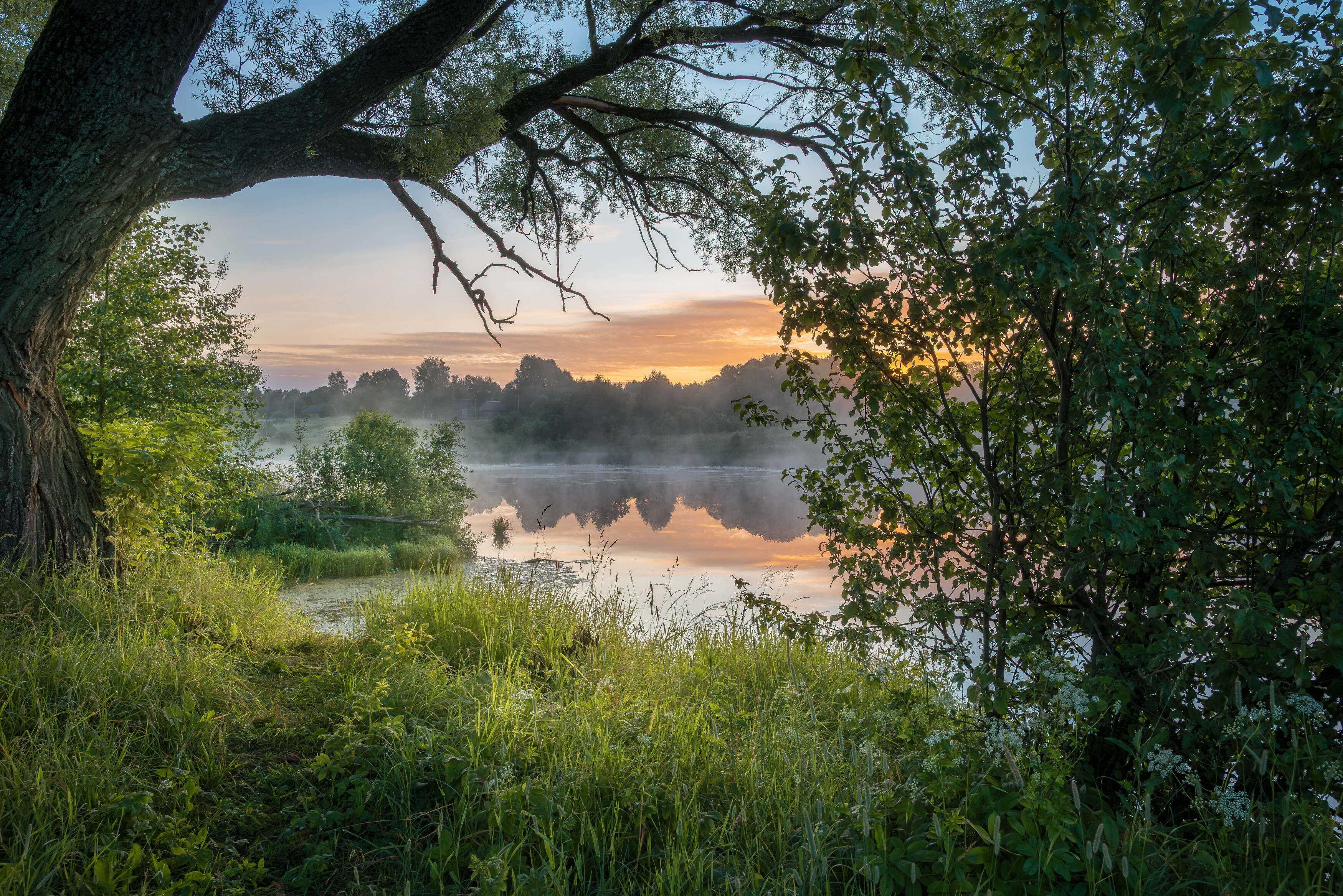 , Сережин Сережа