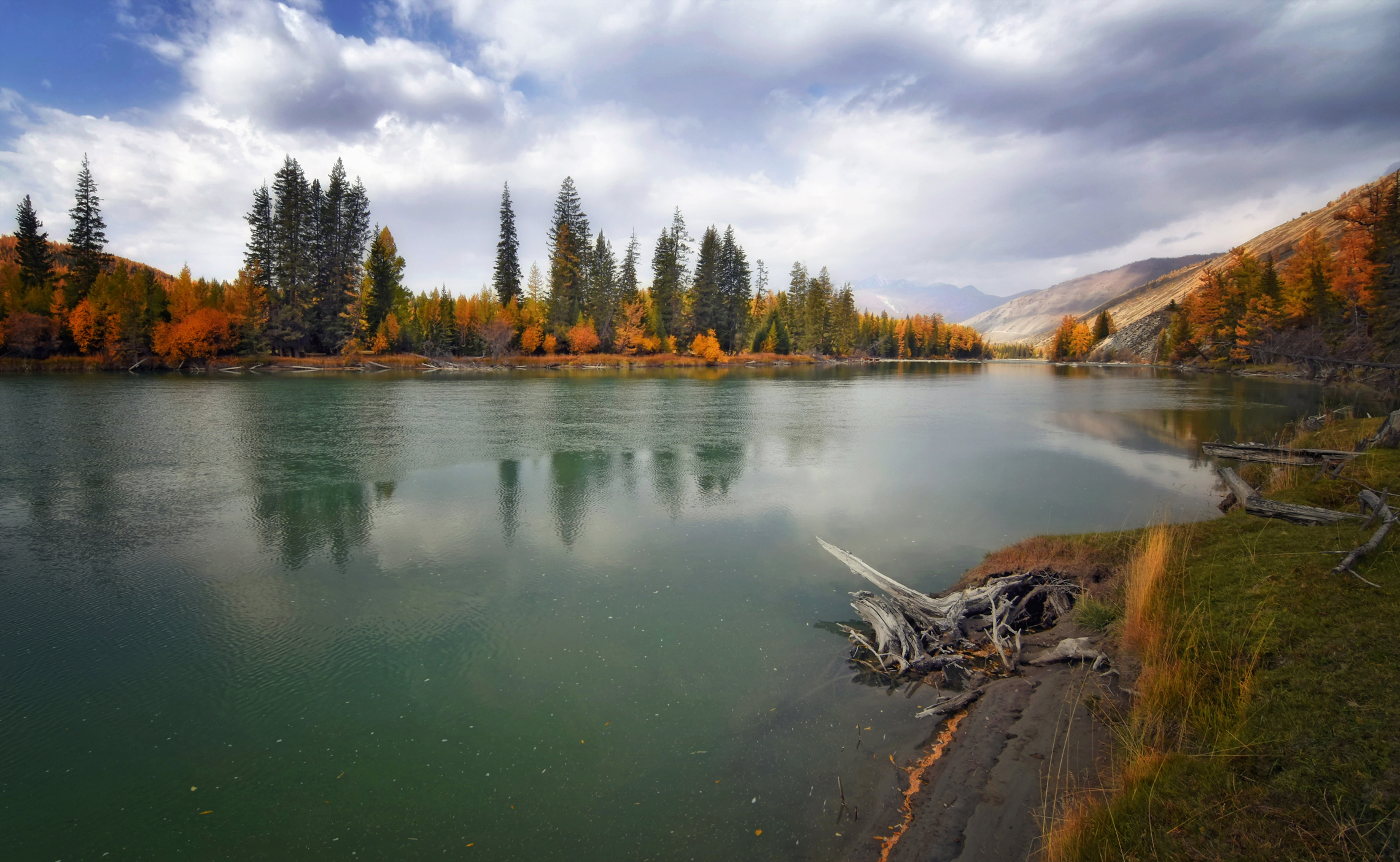 горный алтай, осень, река аргут, утро, Lora Pavlova