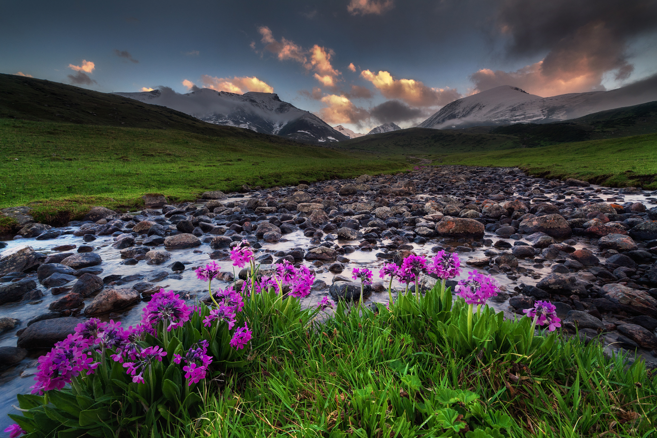 , Ольга Кулакова