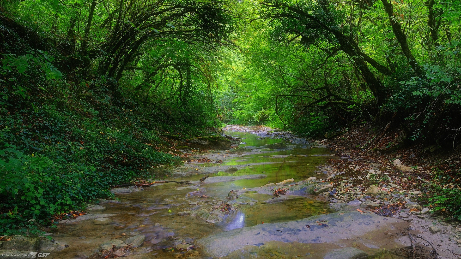 пейзаж природа лето горы лес река глушь, Serj Master