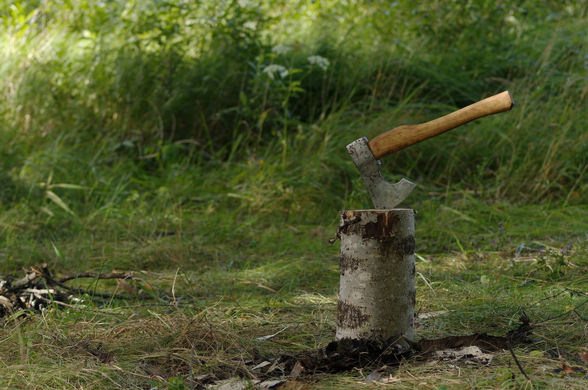 , Кирилл Корякин