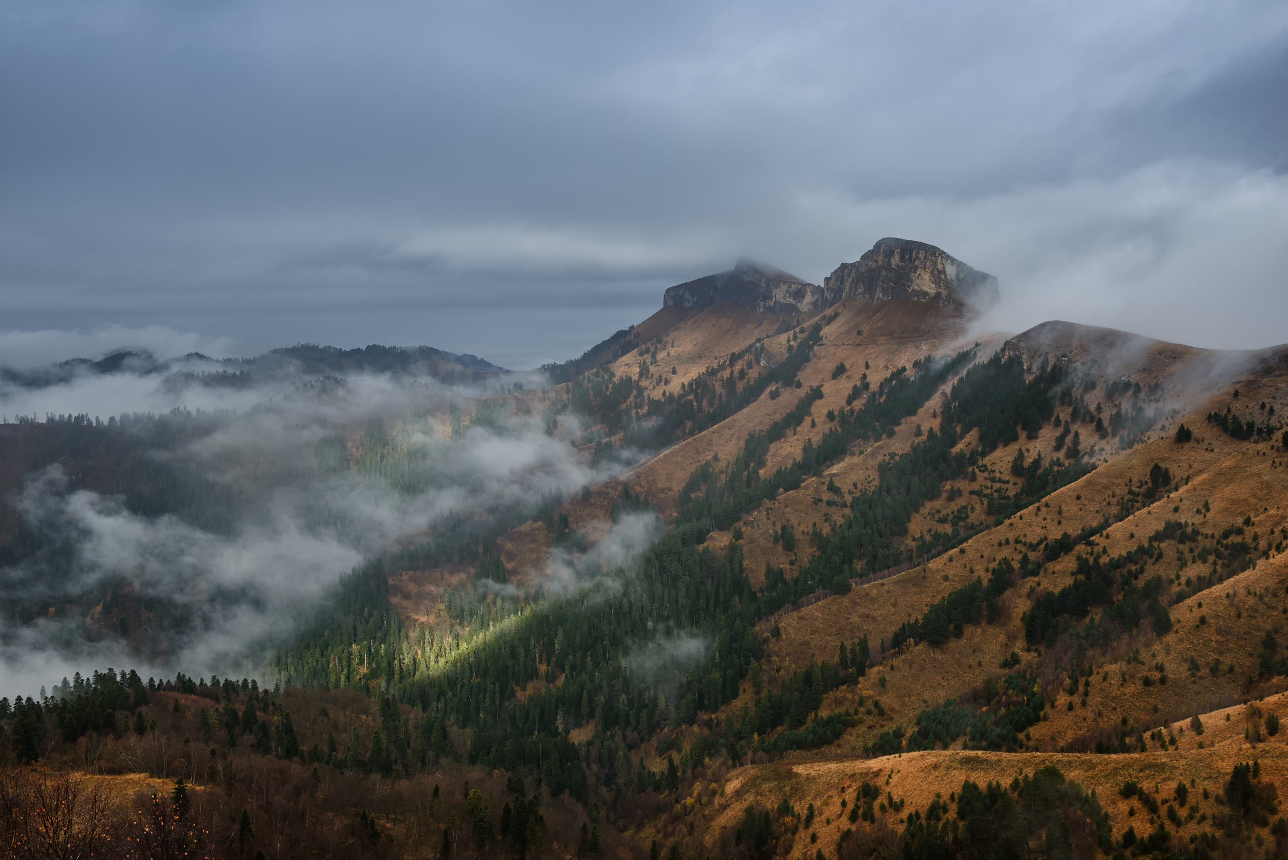 , Евдокимов Максим