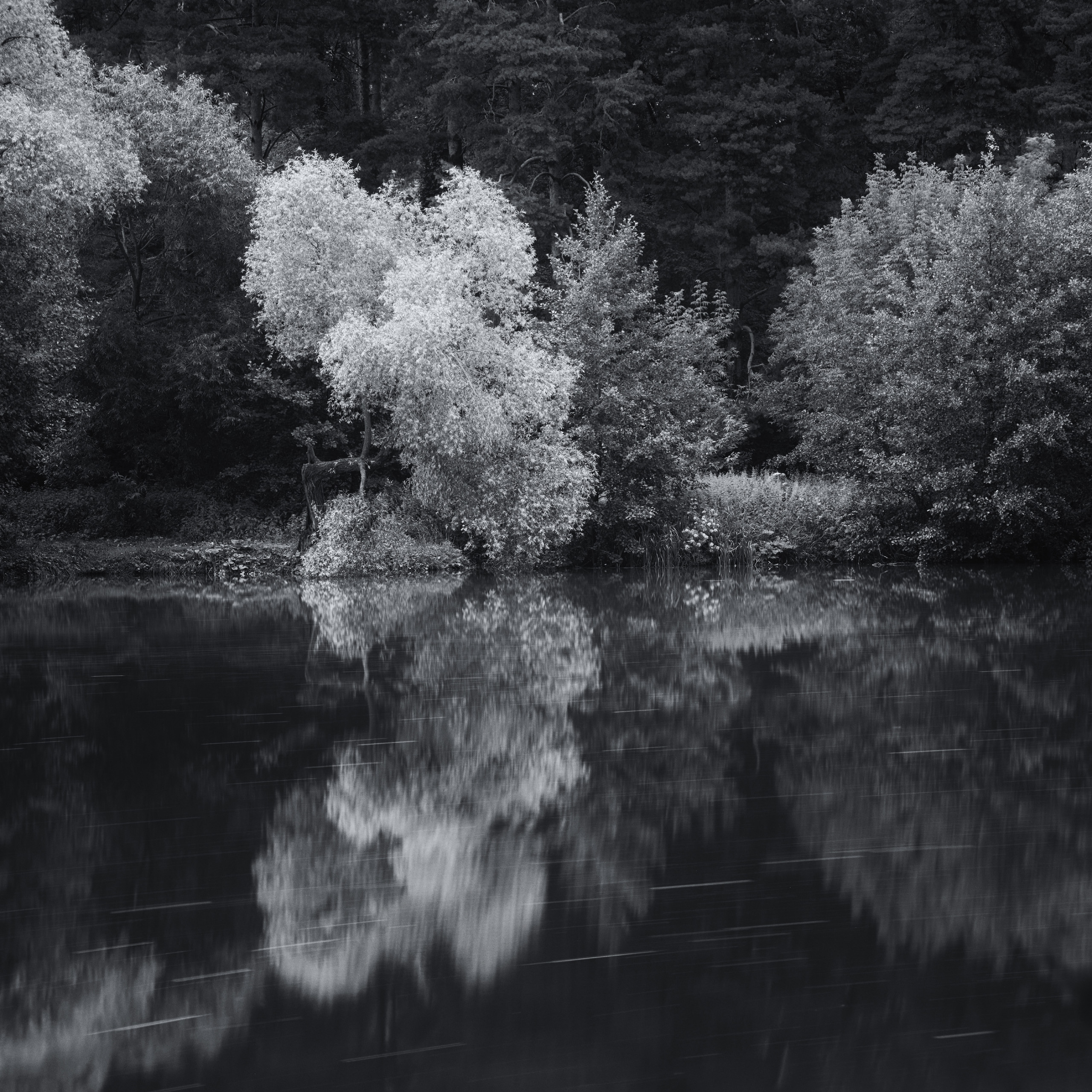 озеро, отражения, лес, Валерий Вождаев