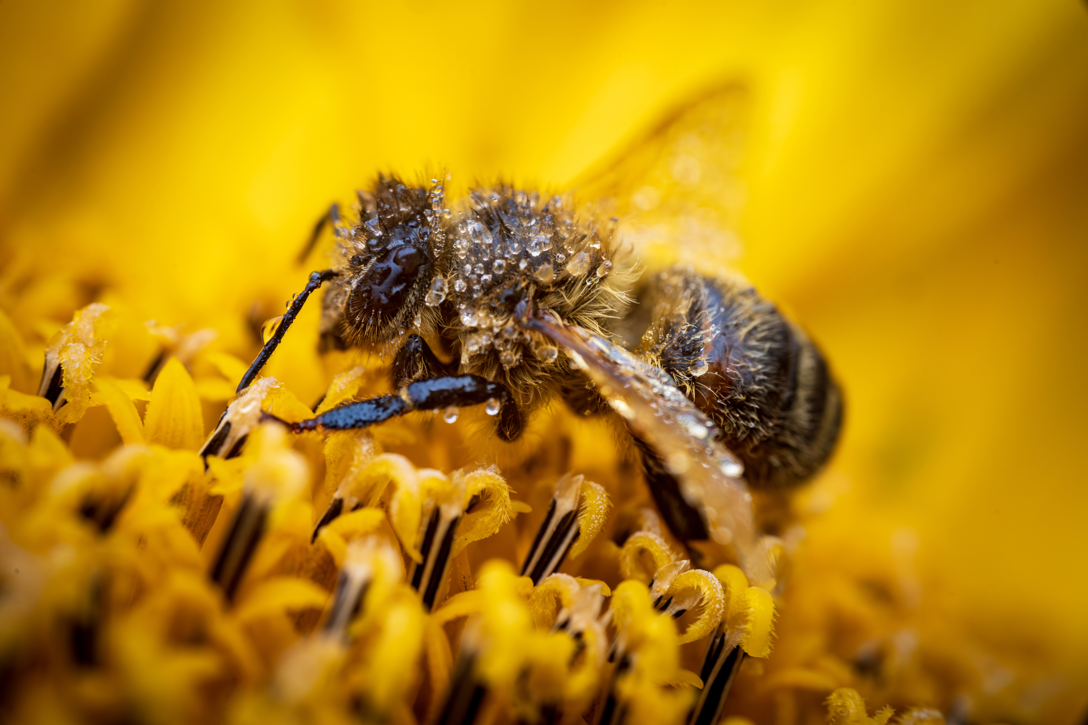, Артём Парамонов