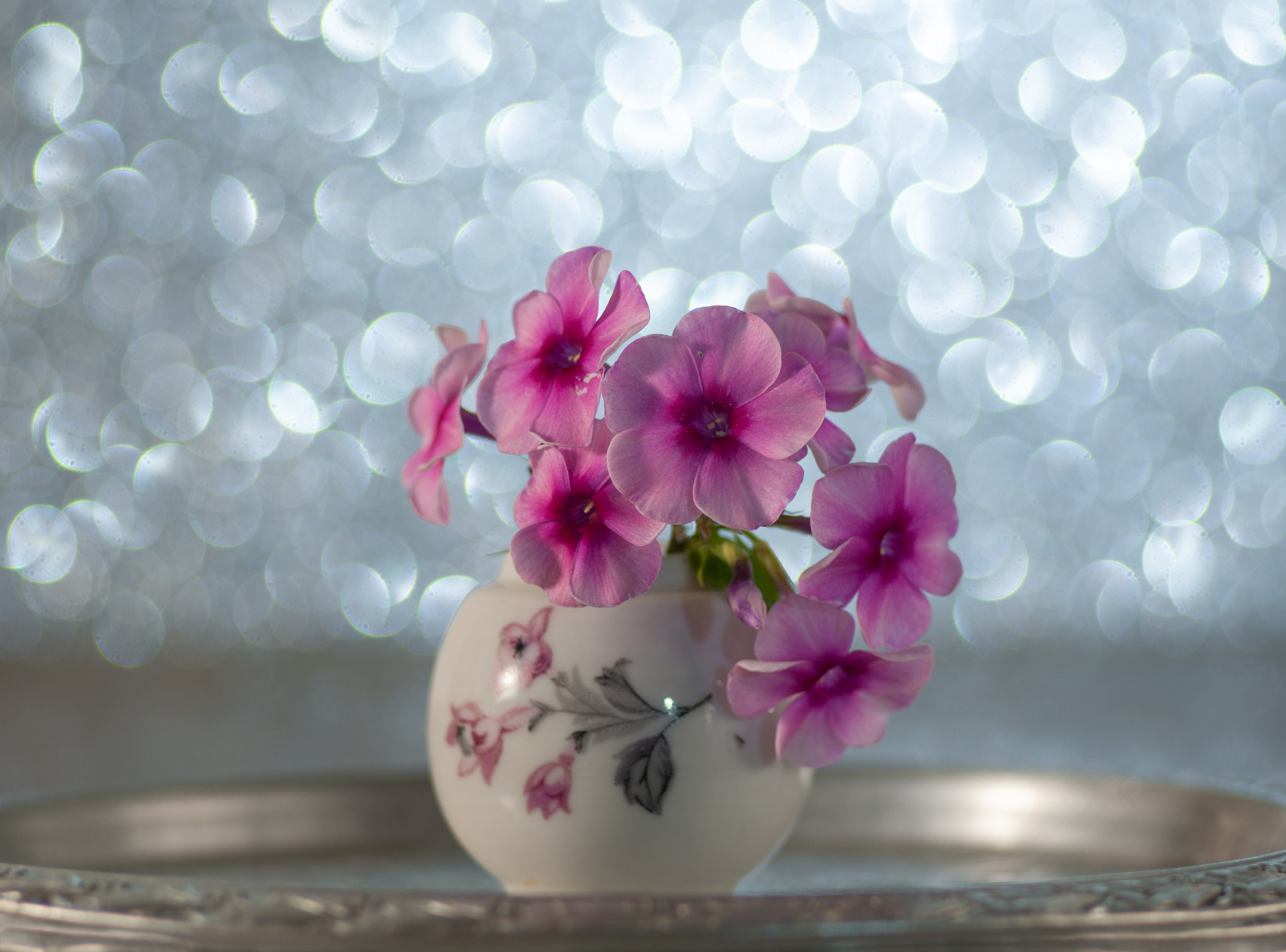 , Елена Павлюк