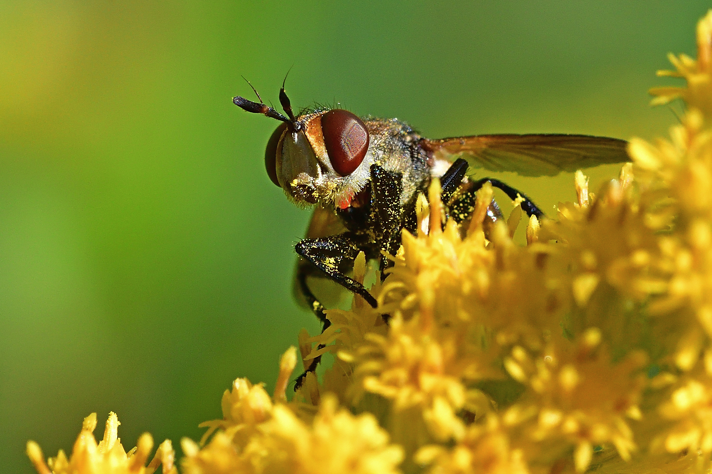 , Корнейчук Игорь
