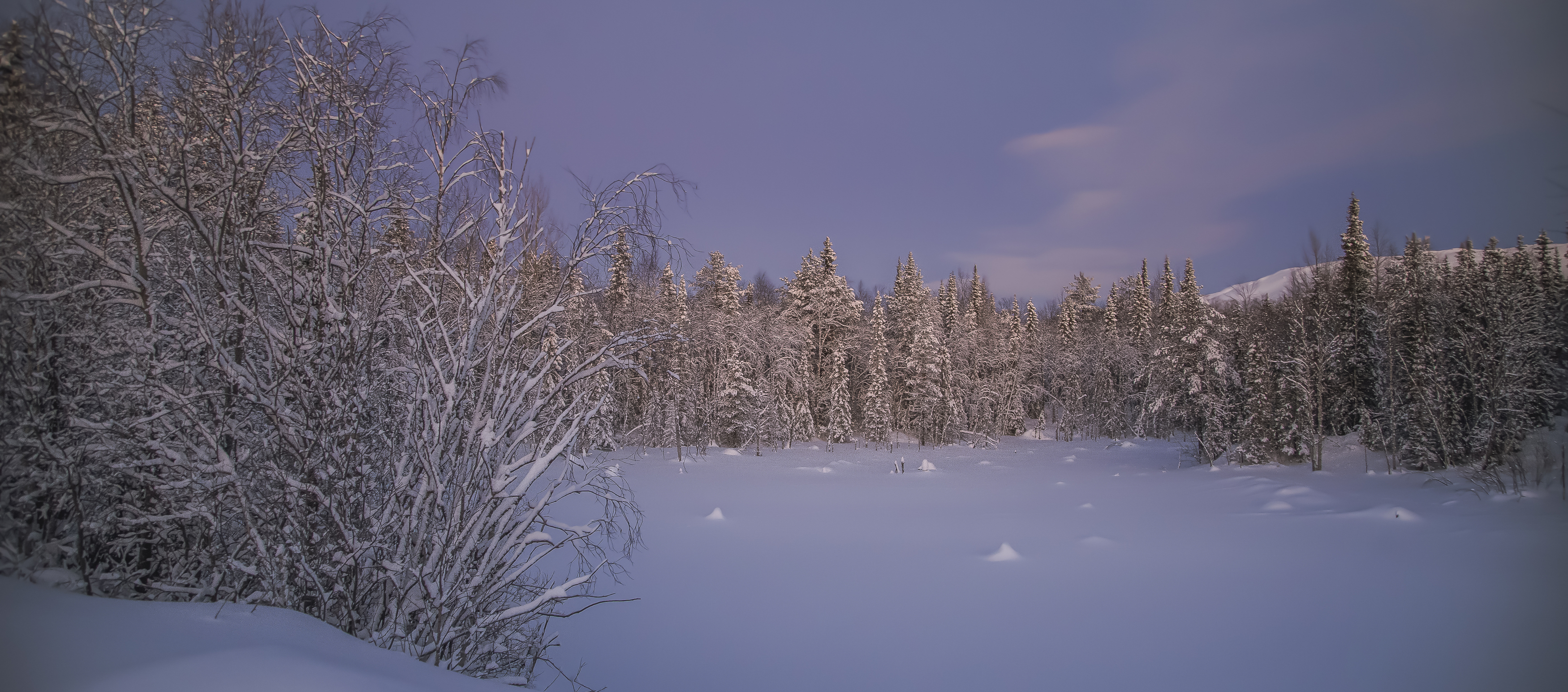 , Покровский Алексей