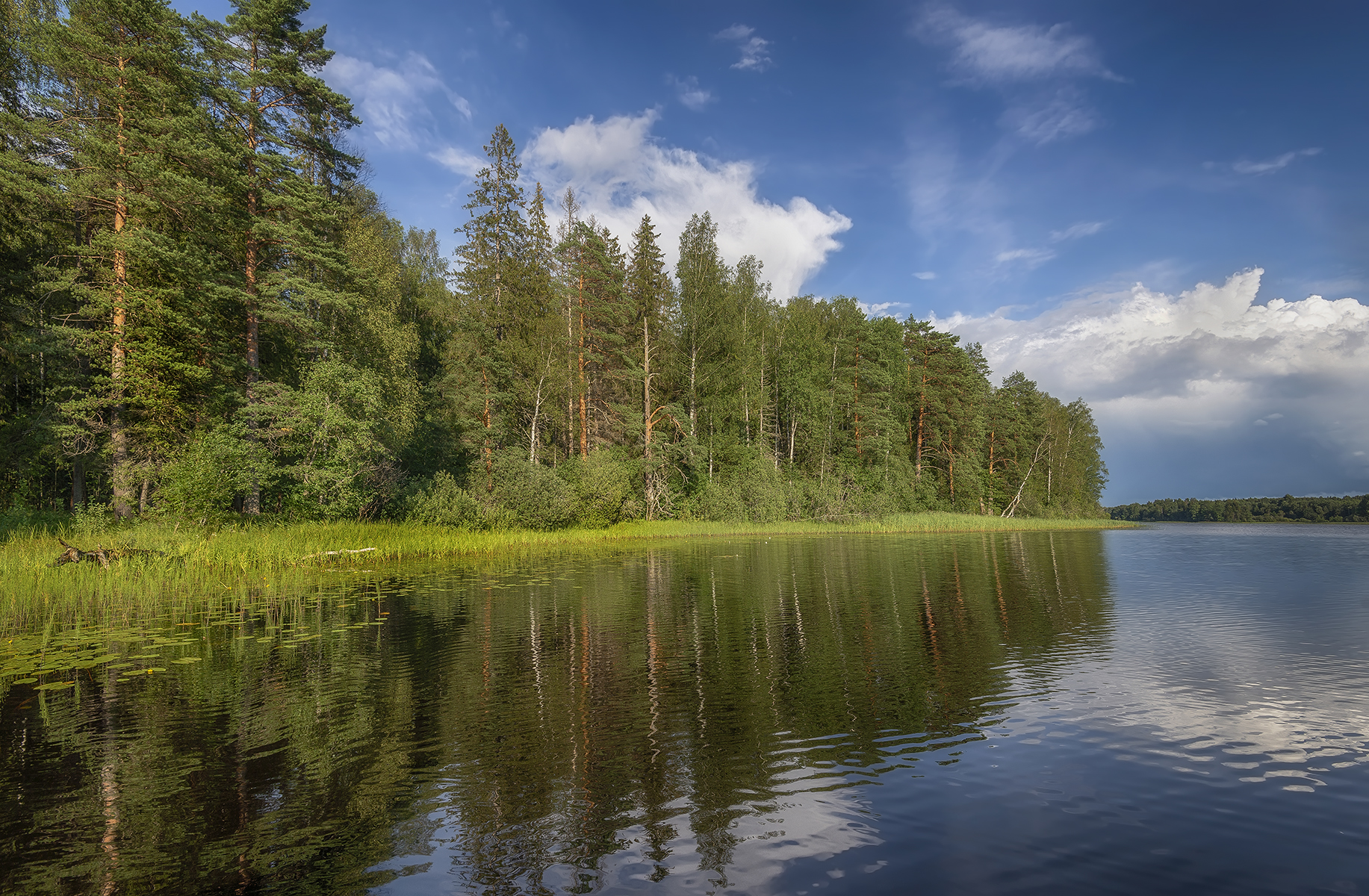 , Сергей Аникин