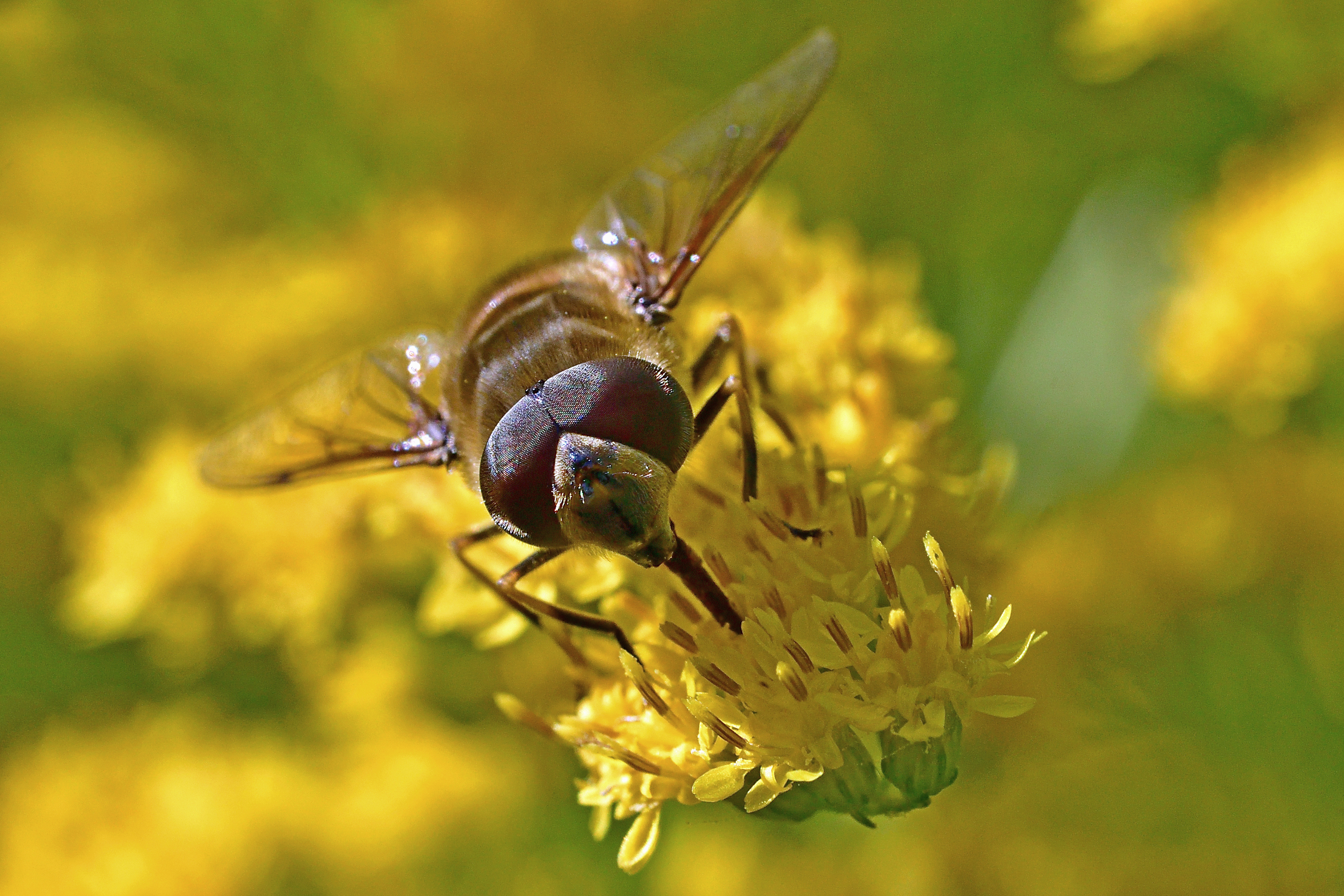 , Корнейчук Игорь