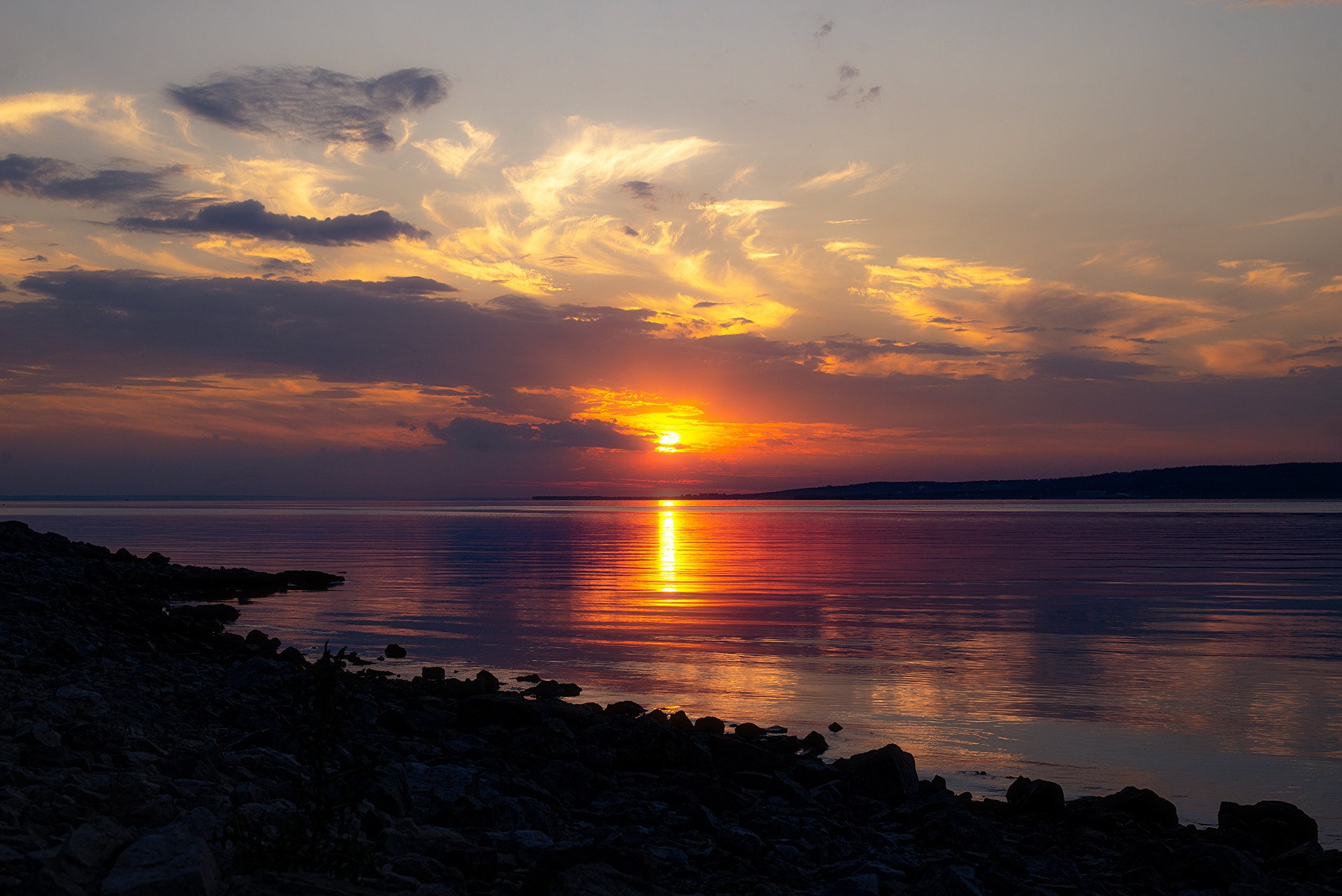 , Дзюба Нелли