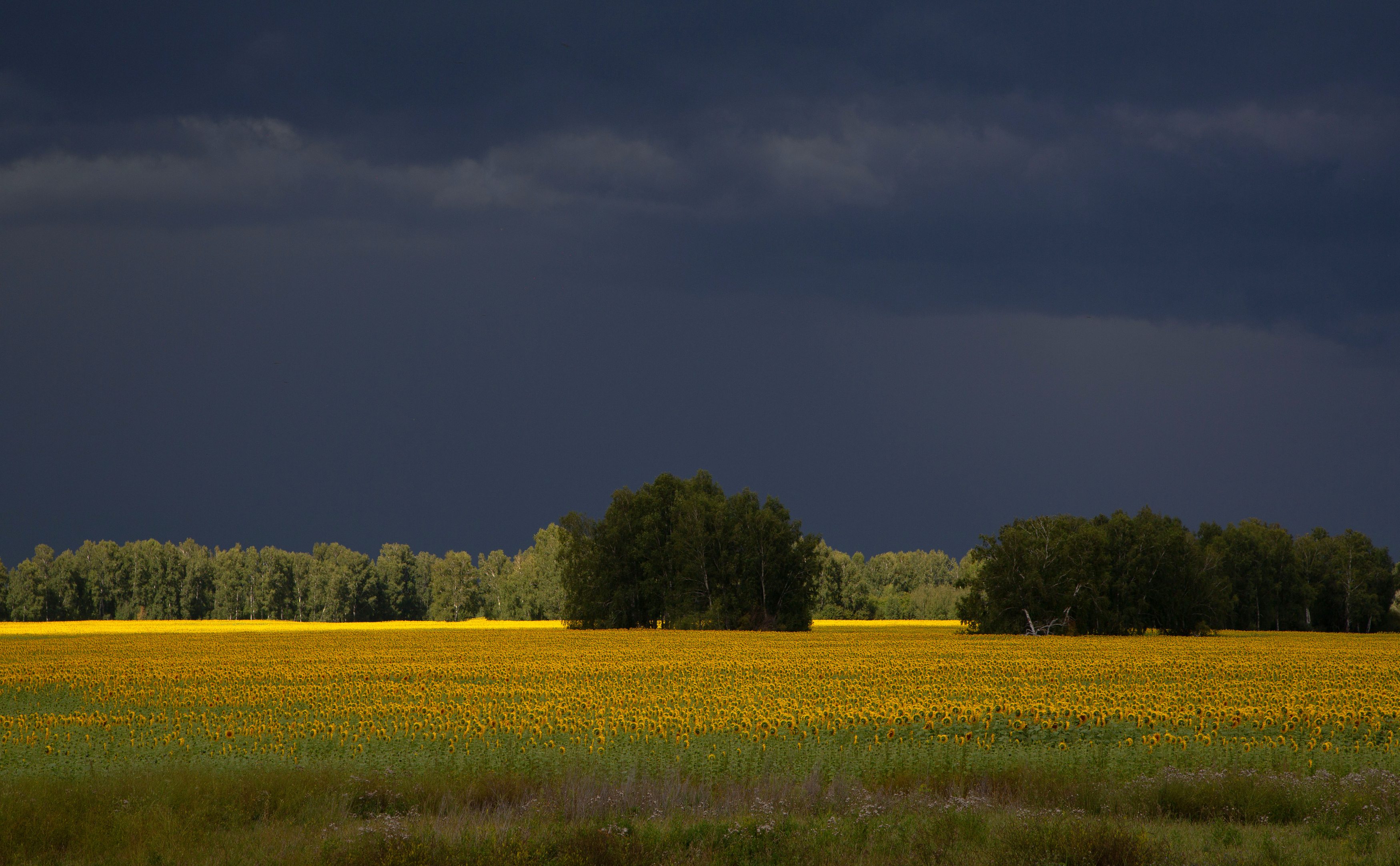 , Евгений Зинов