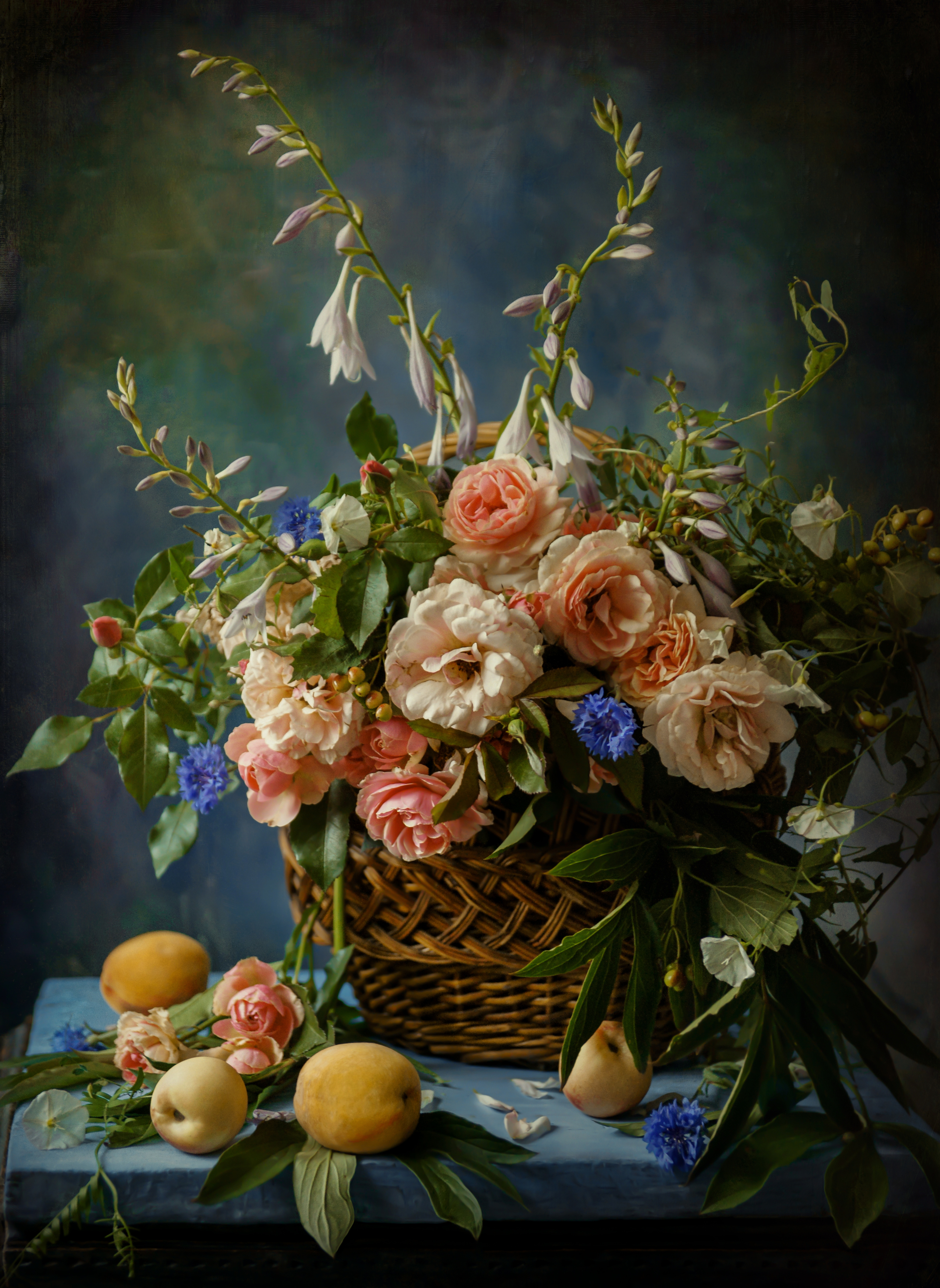 , Сушкевич Светлана