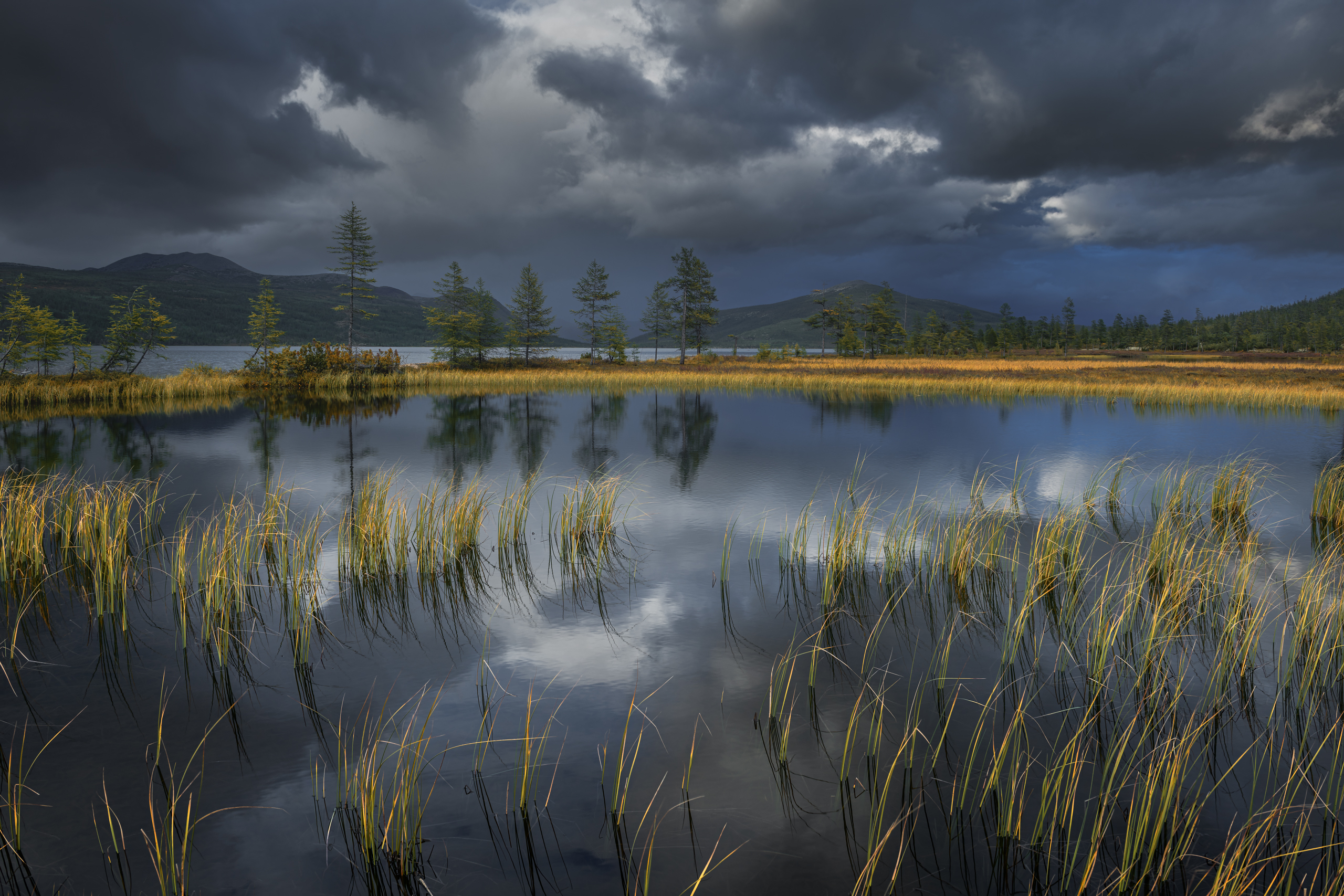 озеро джека лондона, Евдокимов Максим
