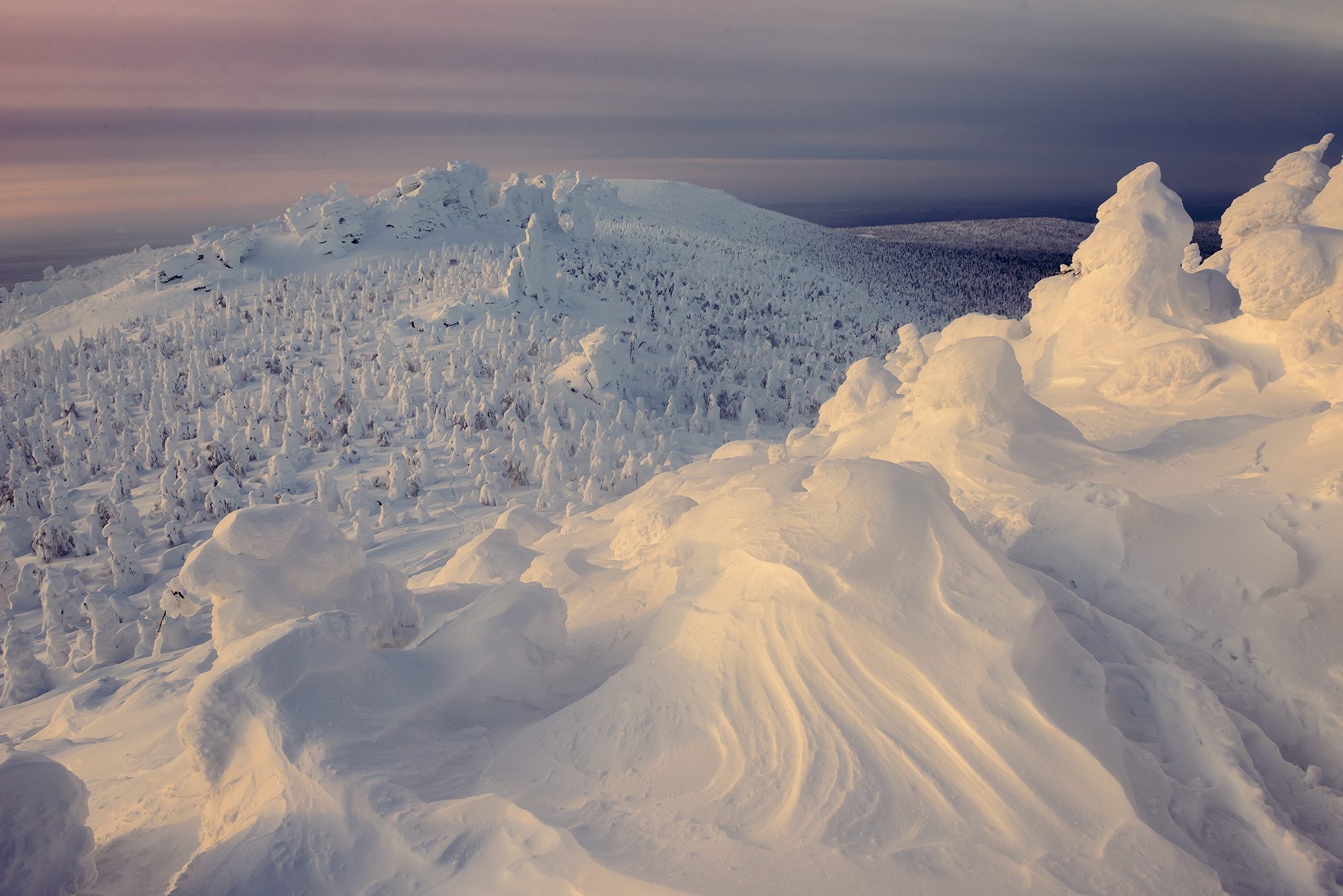 , Эдуард Кутыгин