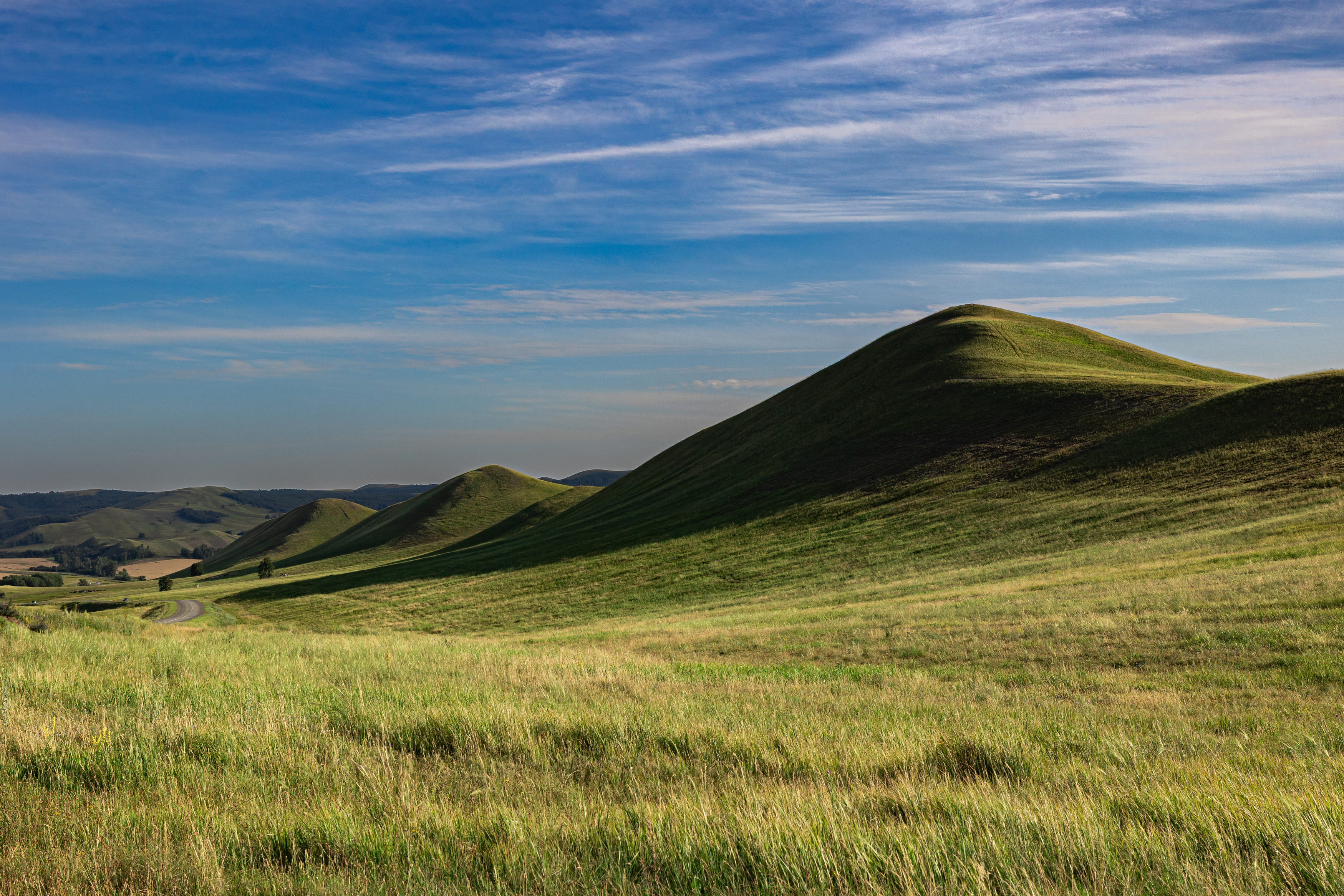 , Щепанов Дмитрий