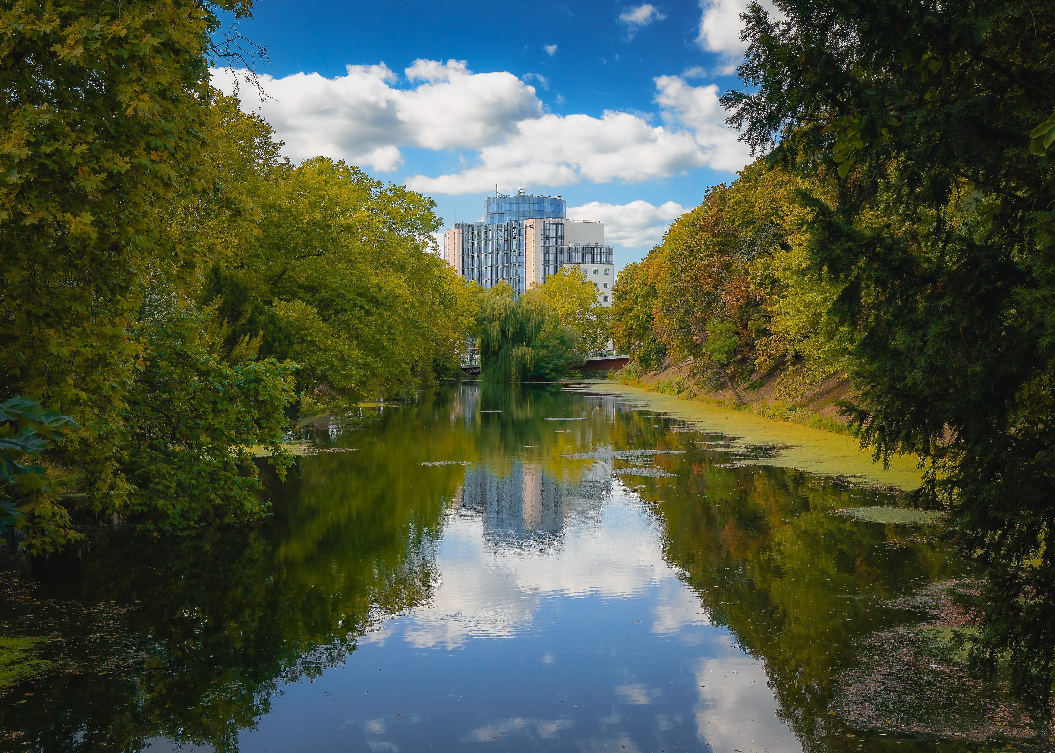 , Denis Cristian BURMELEAC