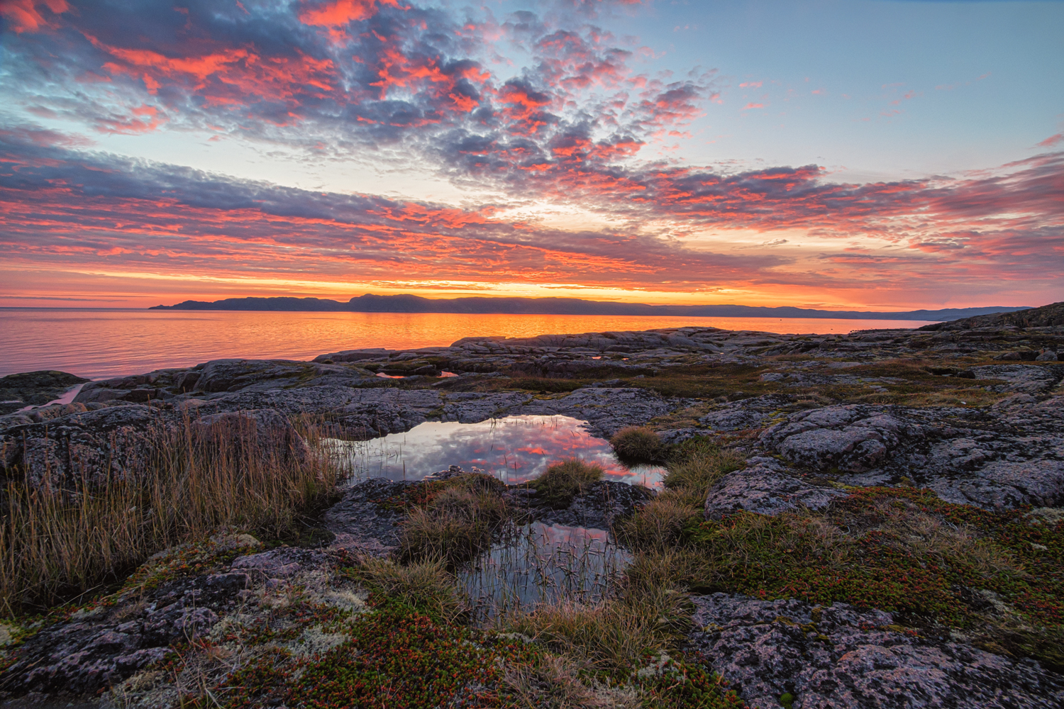 , Тихонов Сергей