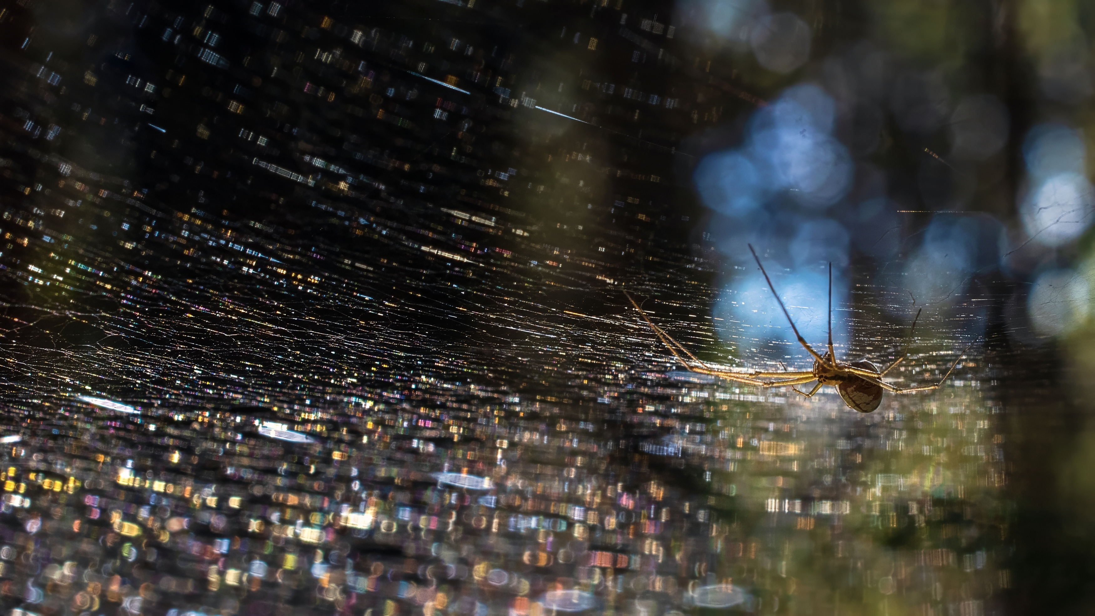 , Людмила Железнова