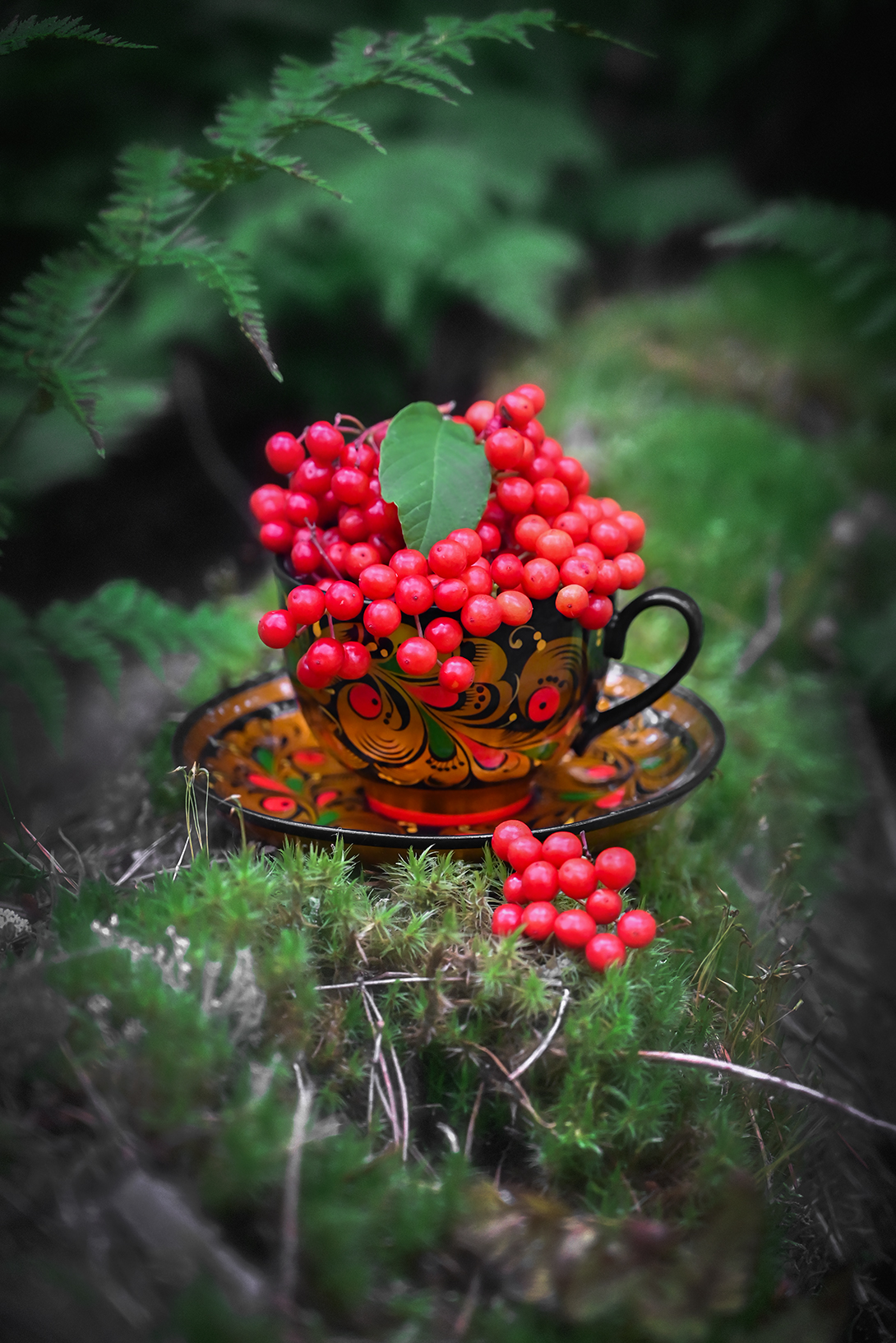 , Калёв Сергей