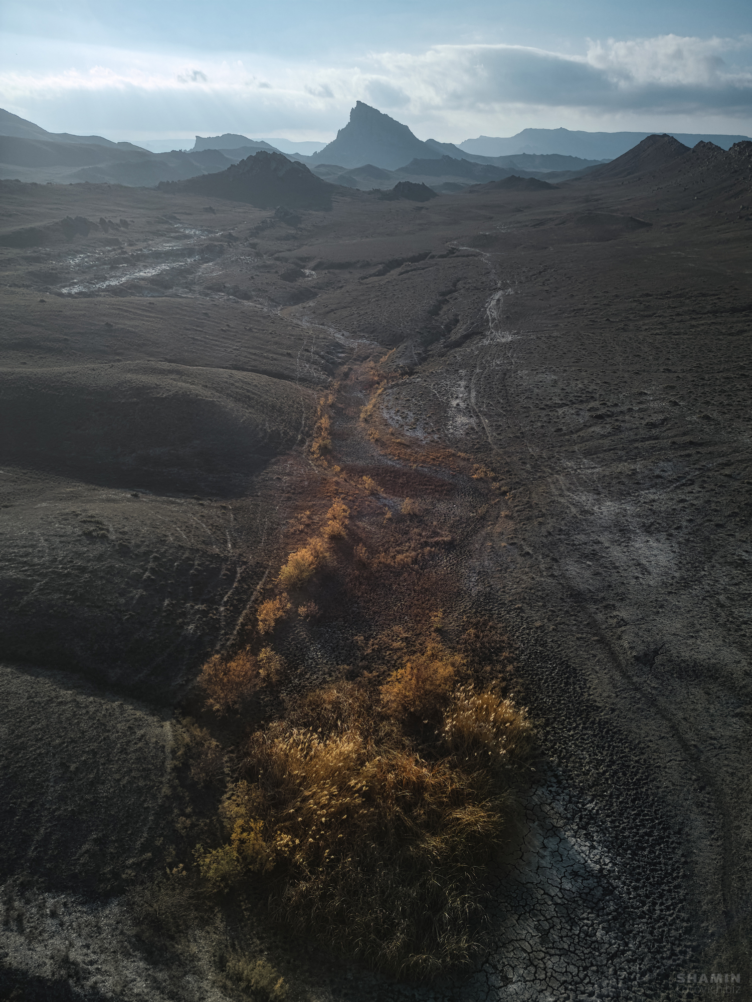 , Константин Шамин