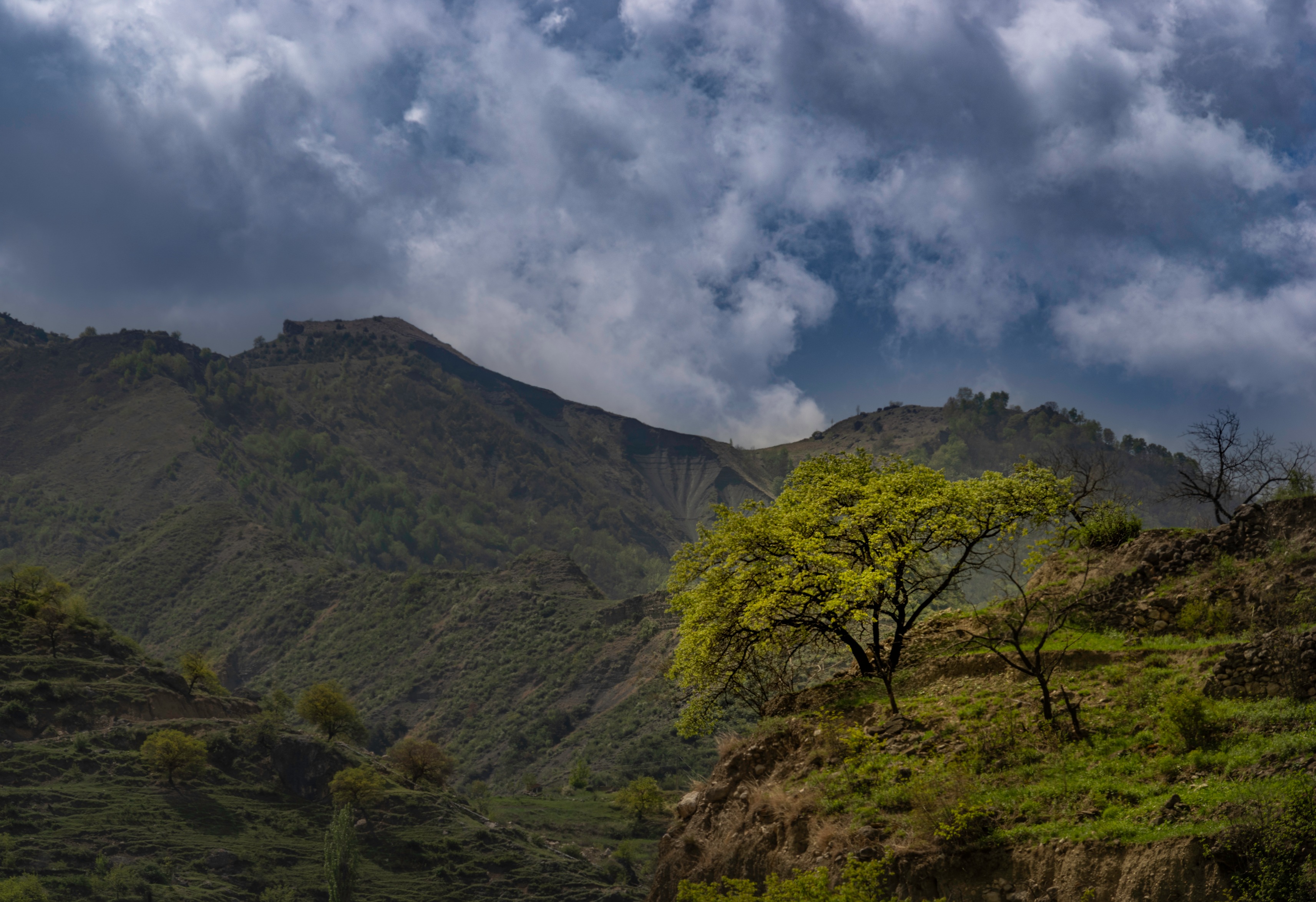 , Ширгин Сергей