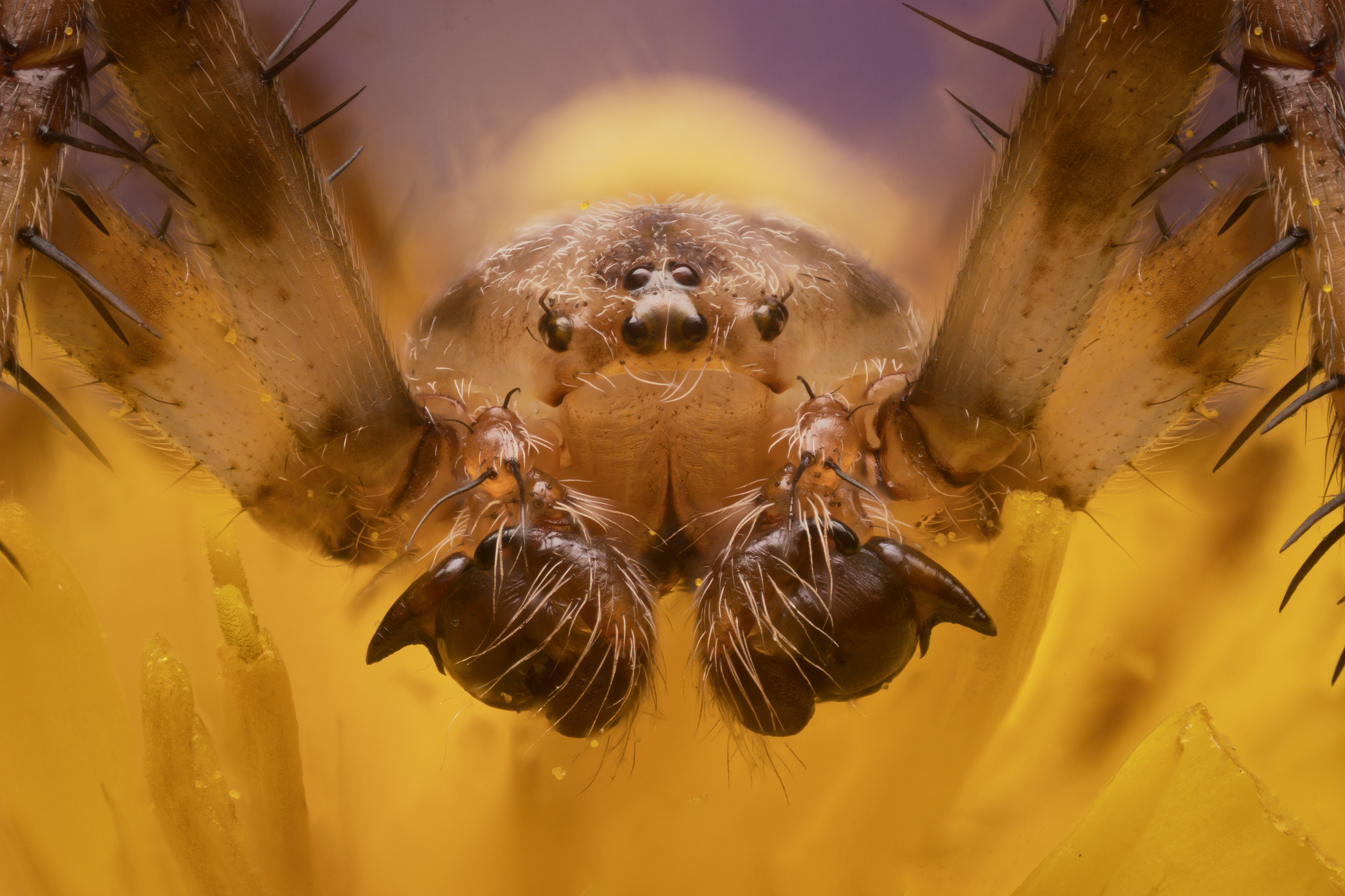 , Иван Золин