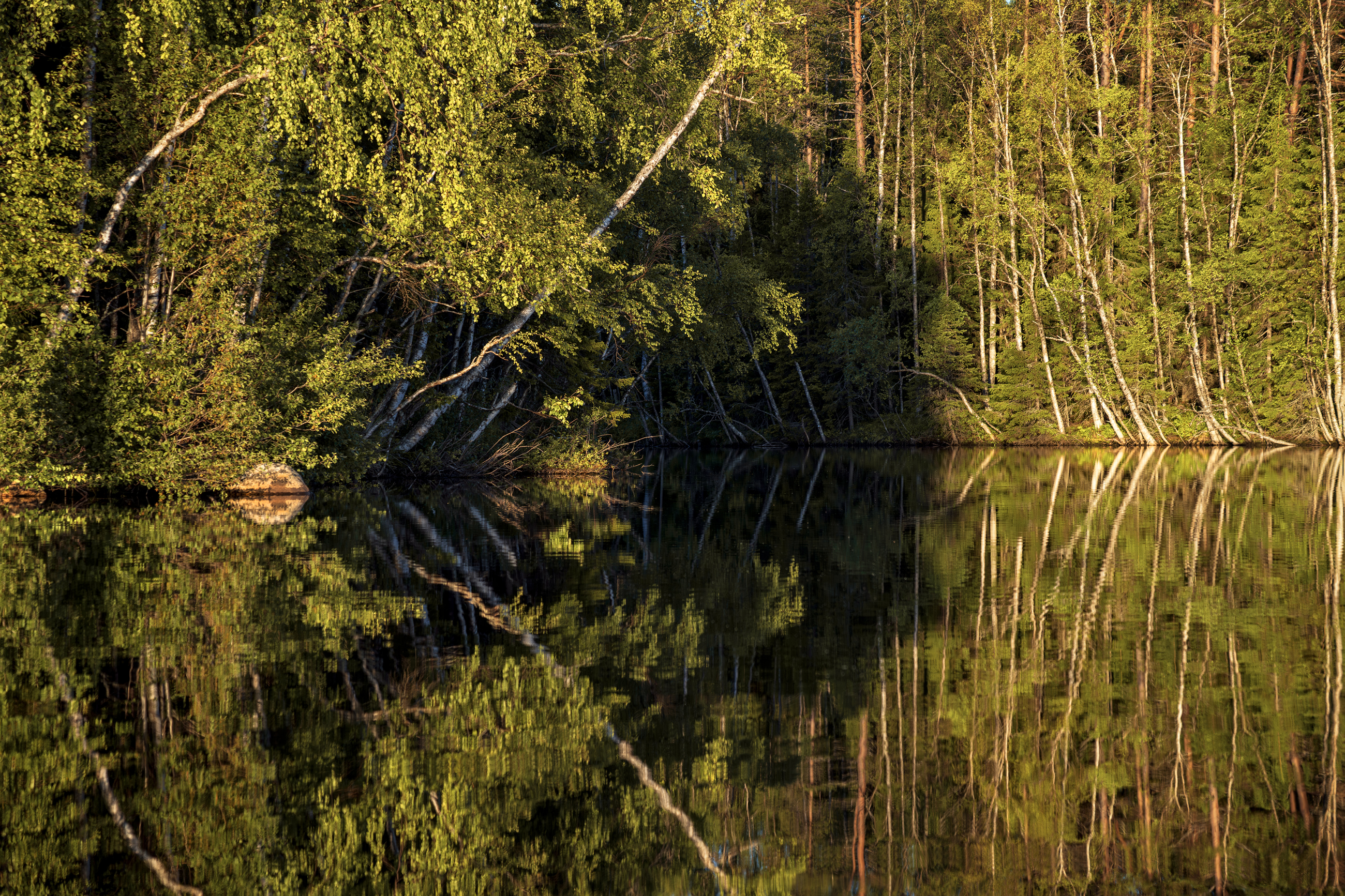 соловки, соловецкие острова, канал, Олег Зверев