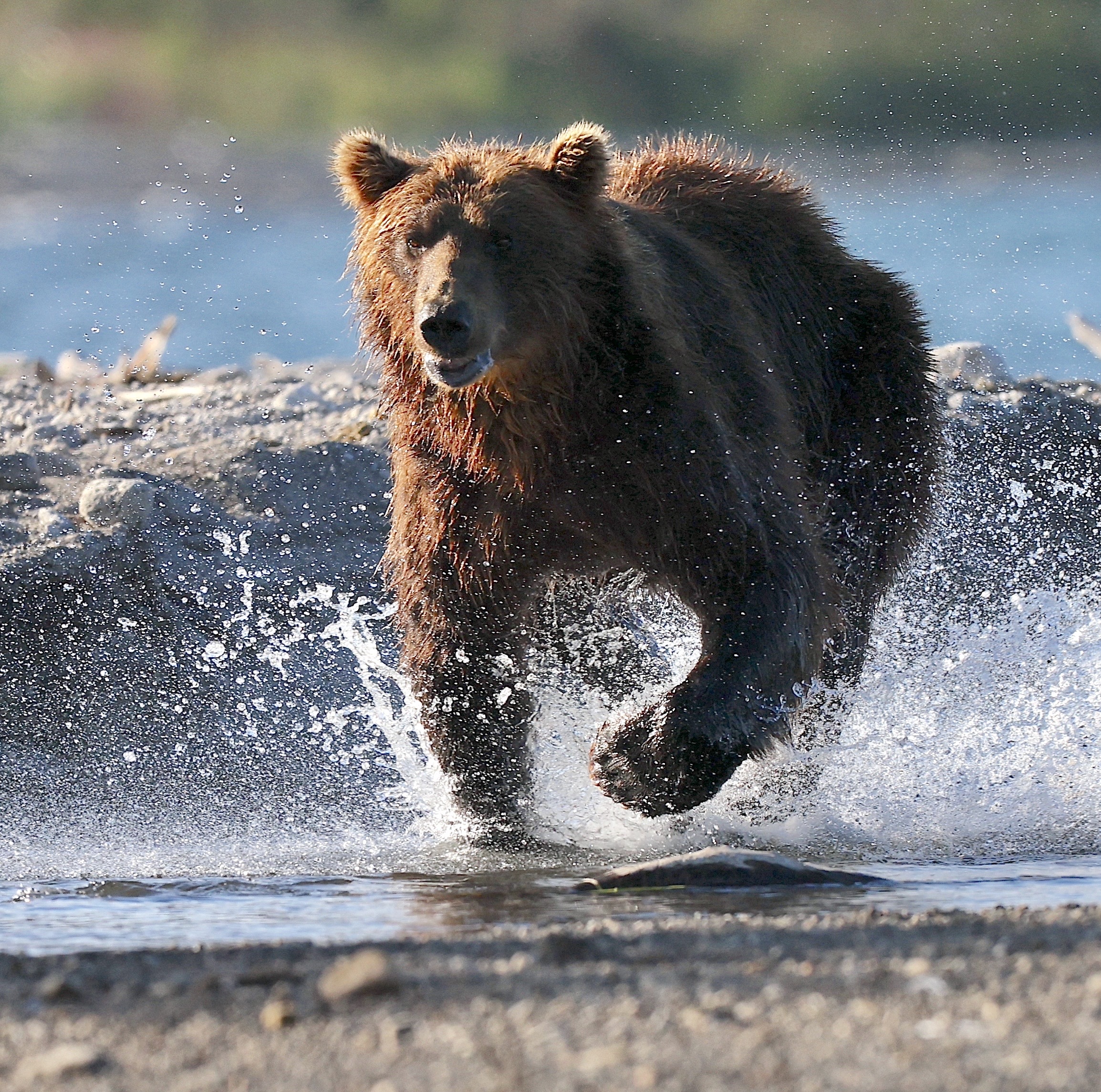 , Голубков Леонид