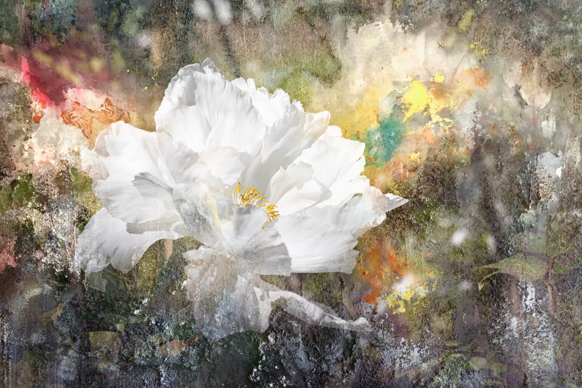 , Копцев Игорь