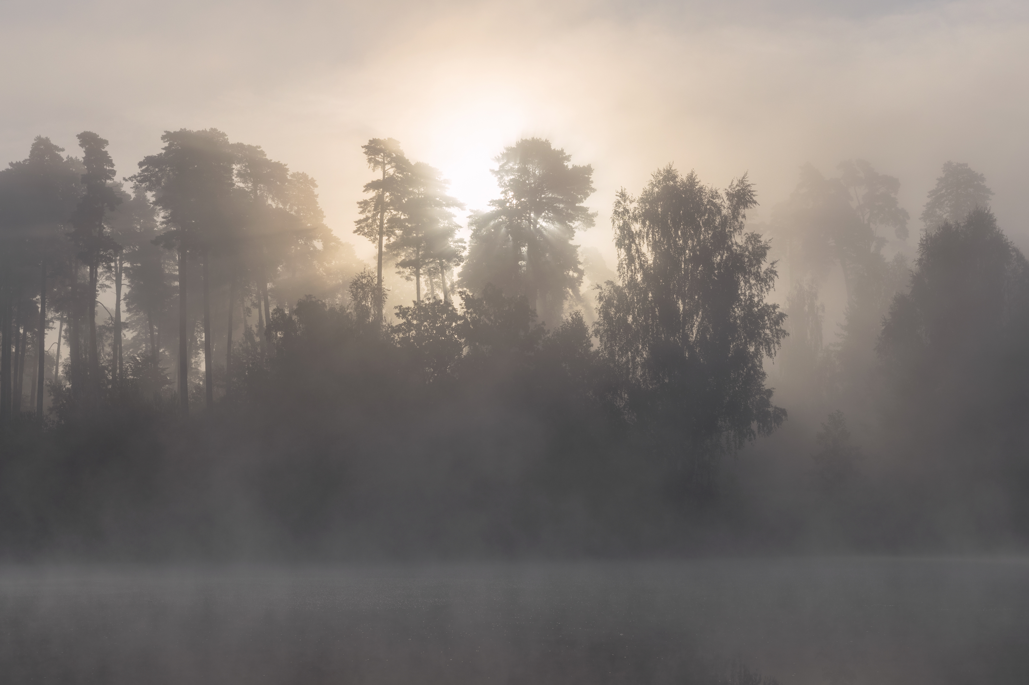 , Бонина Ольга