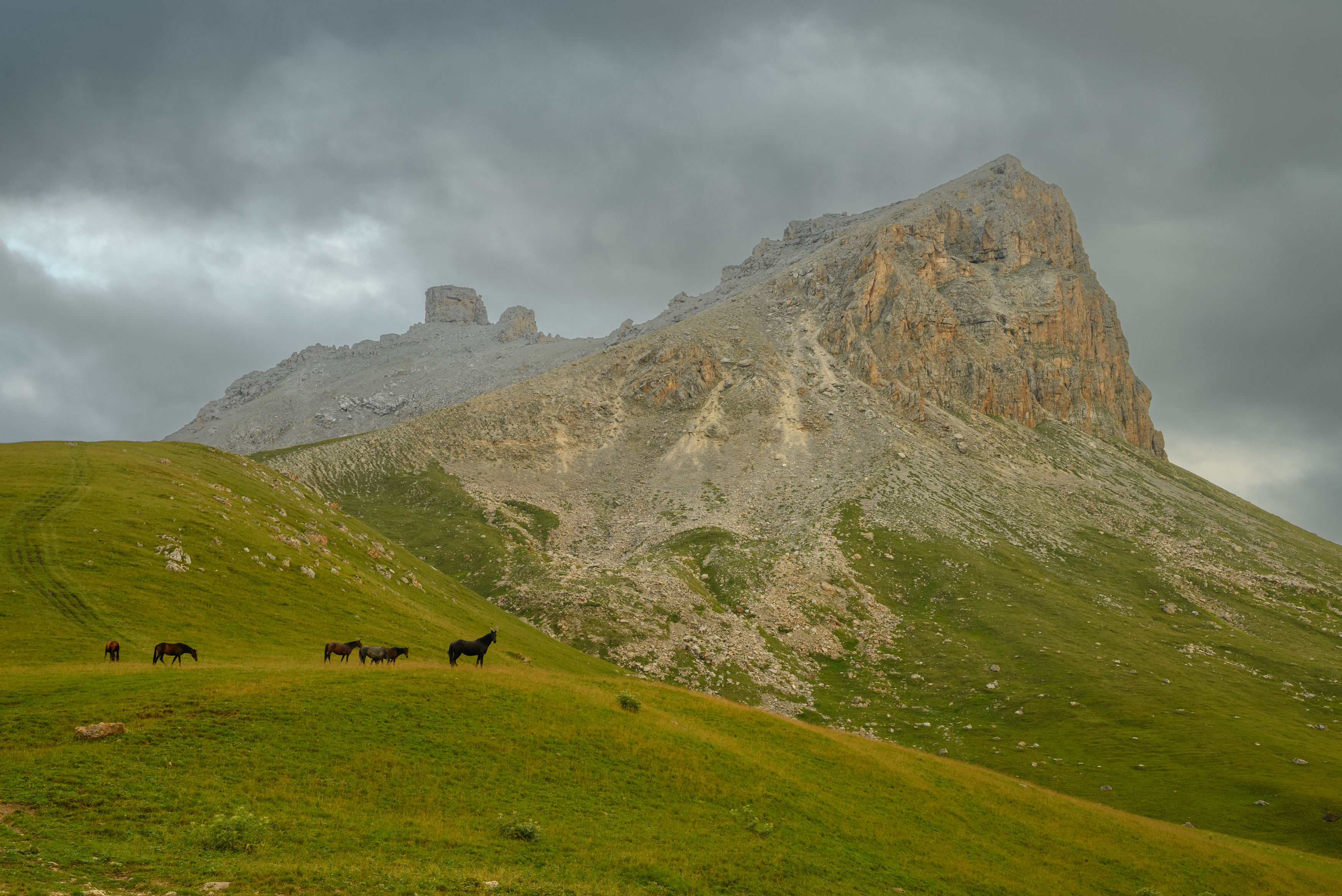 , Михаил Пустынников
