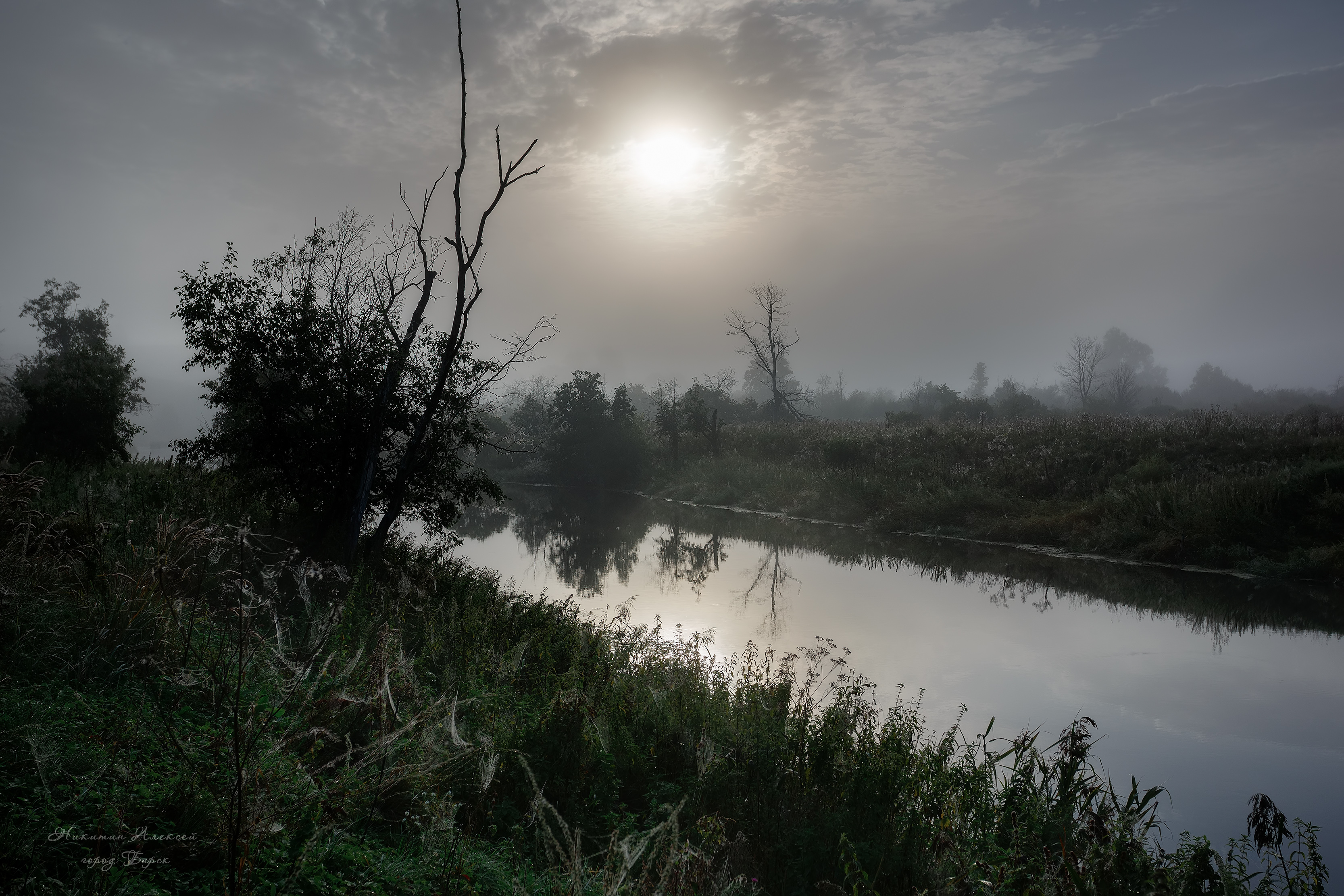 , Никитин Алексей