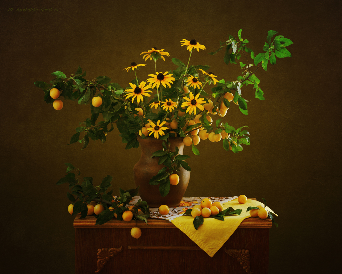 , Анжелика Королева