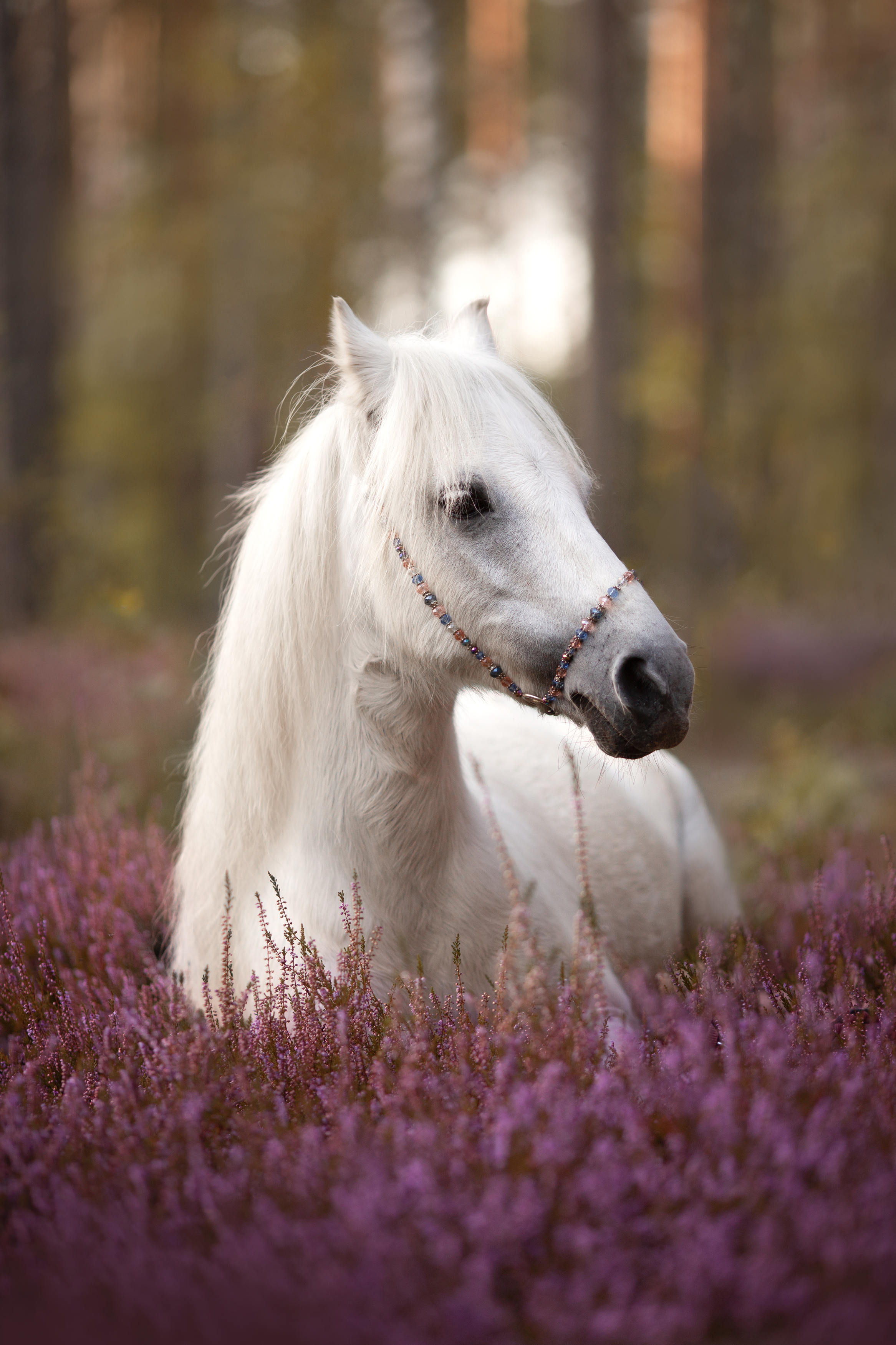 , Евгения Костусева