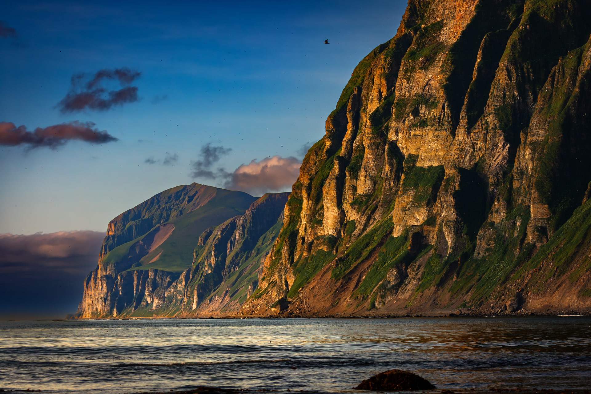 утро, скалы, птичьи базары, море, остров беринга, командоры, Уткин Дмитрий
