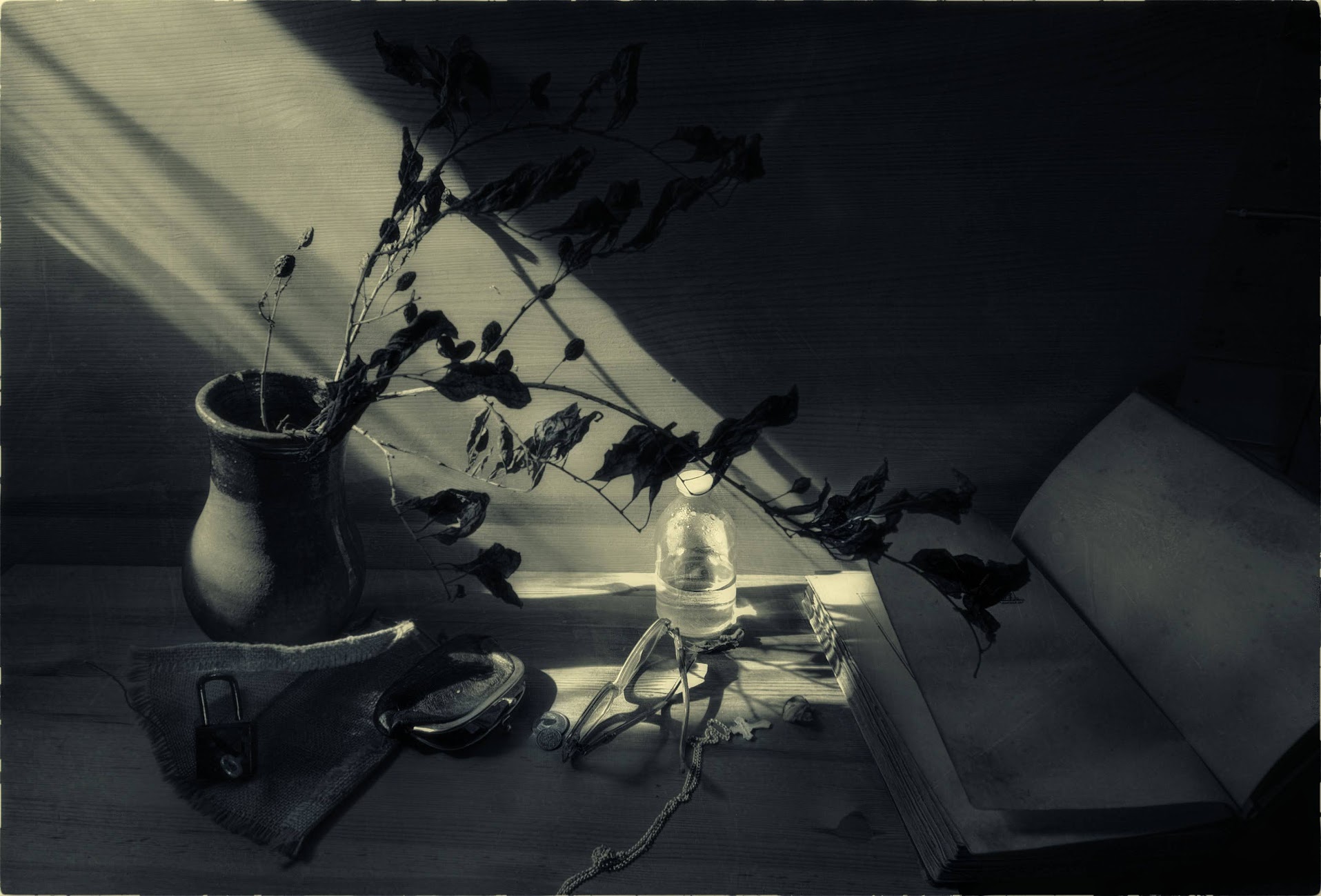 , Ирина Данилова