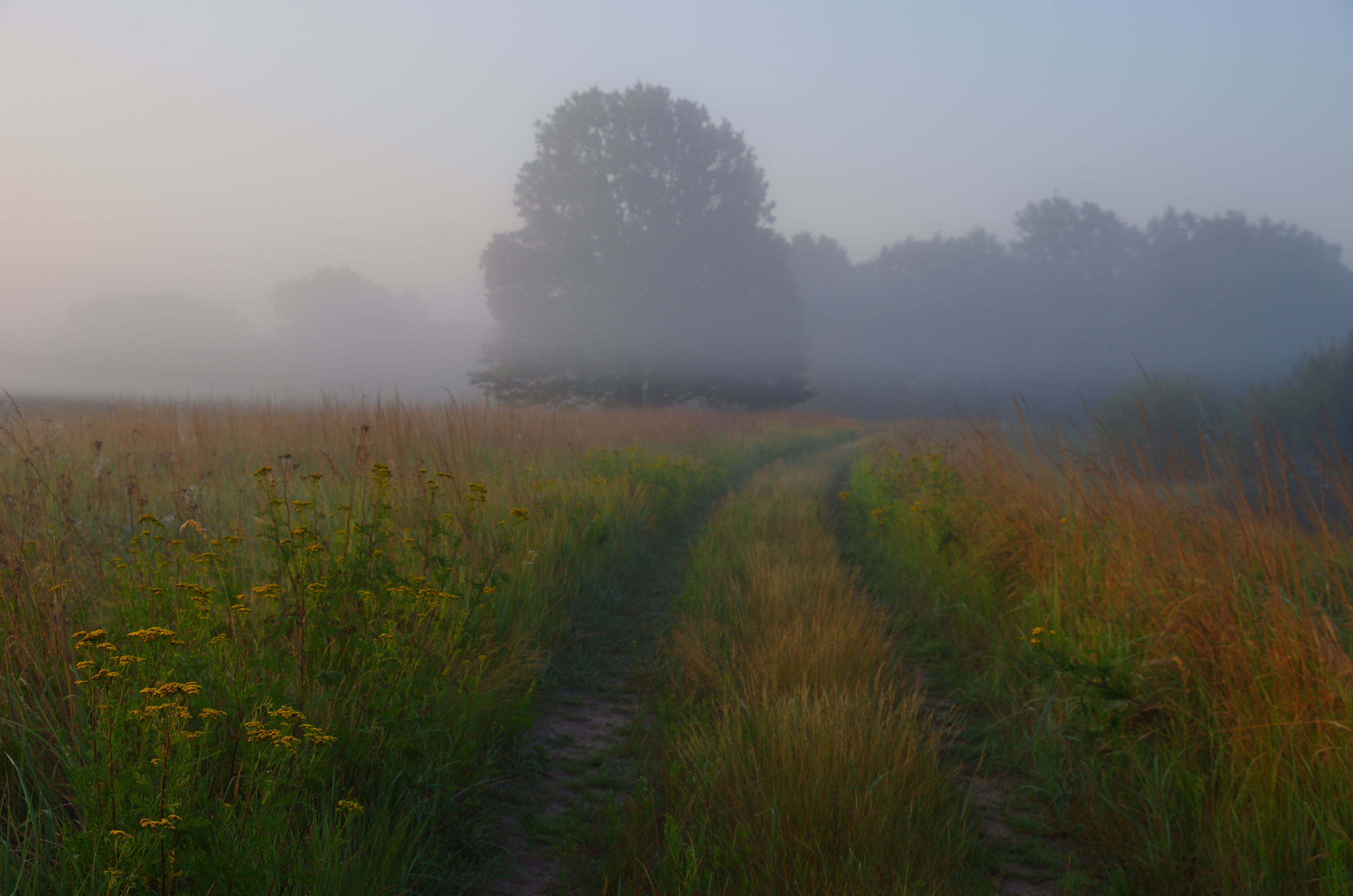 , Шляга Сергей