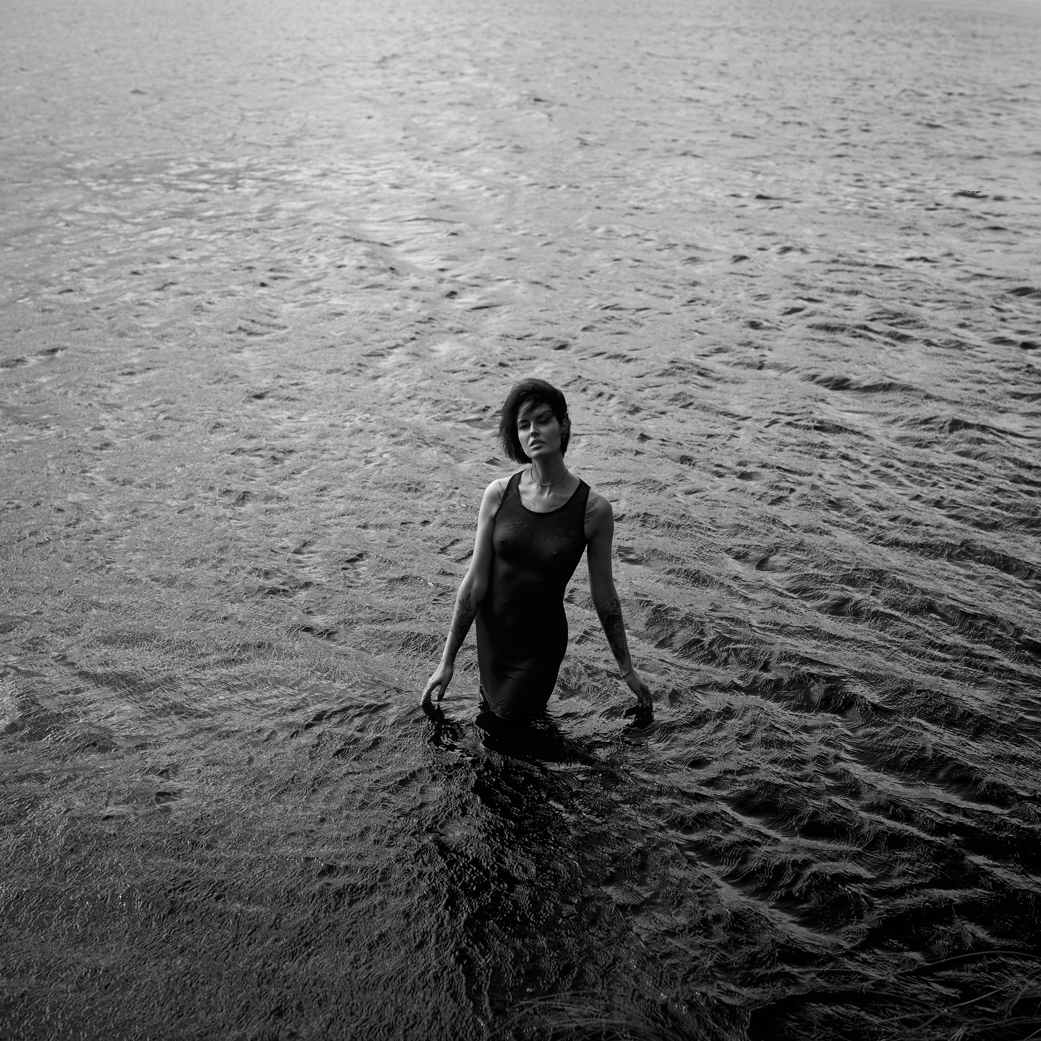 , Антон Покровский