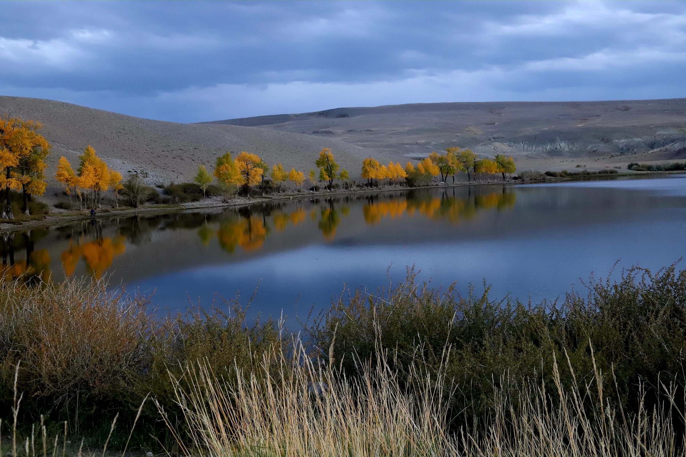 , Владимир Каверин