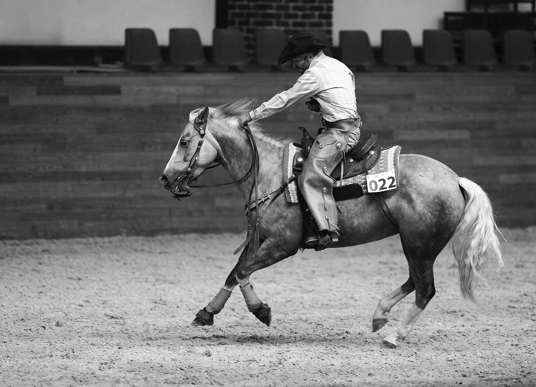 соревнования, вестерн, спорт,horse, competition, movement, sport, Стукалова Юлия