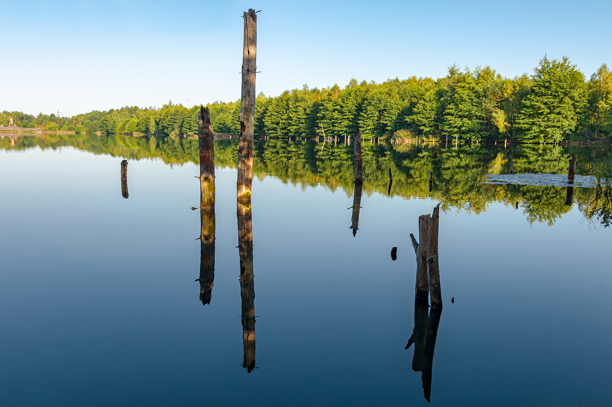 , Владимир Ноздрачев