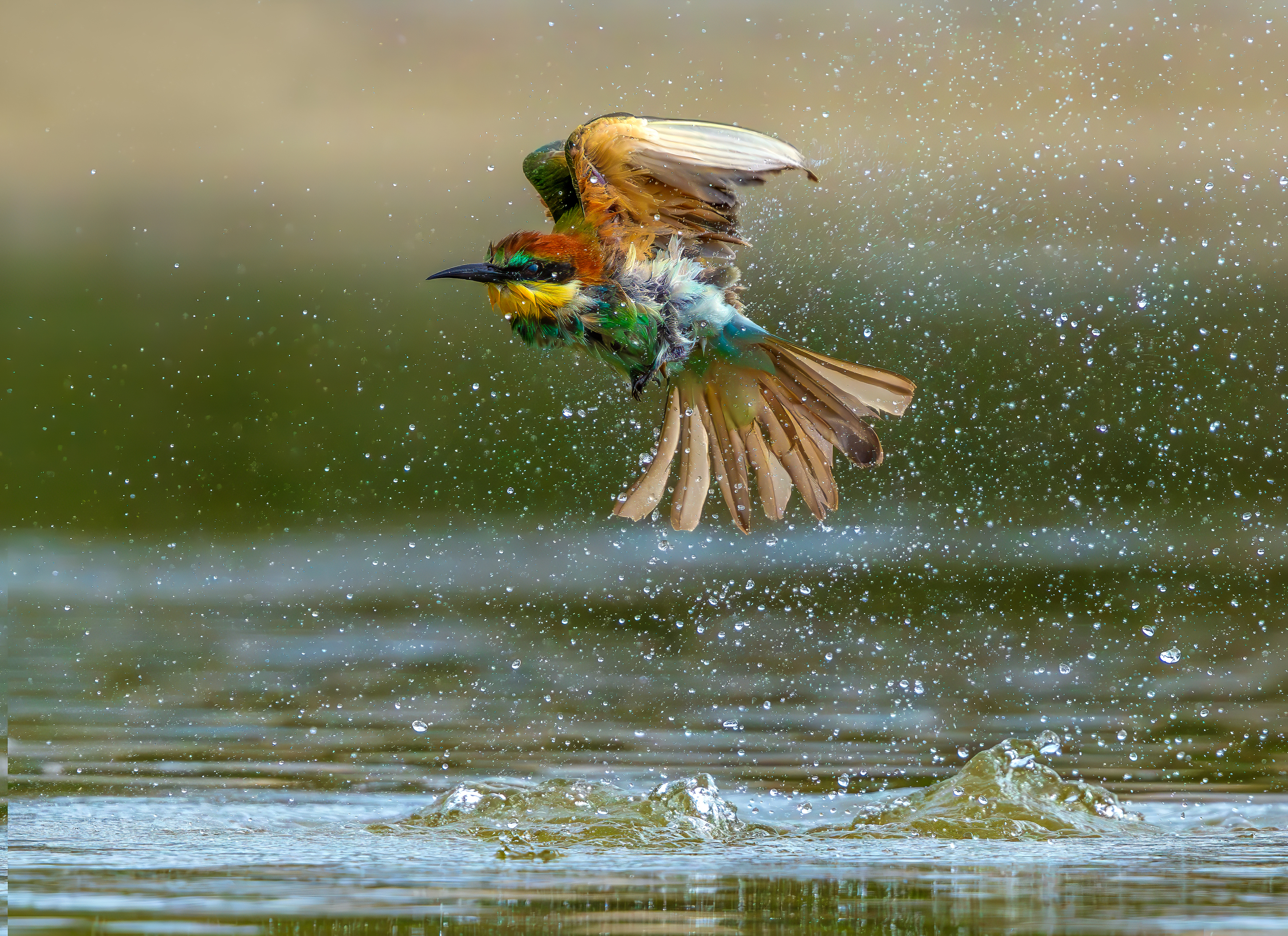 , Bessarion Chakhvadze